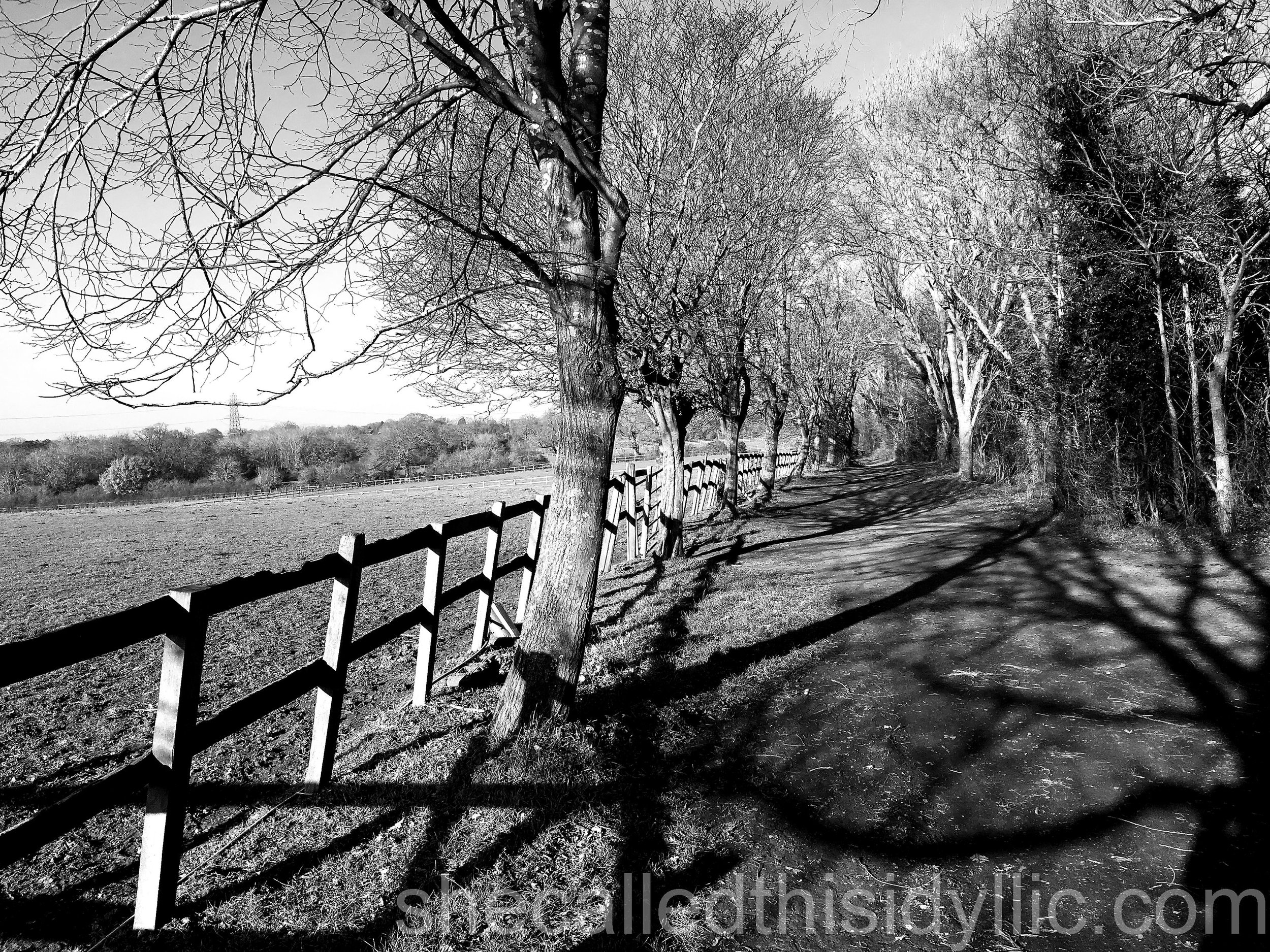 Winter Depression With Lethargy Overload