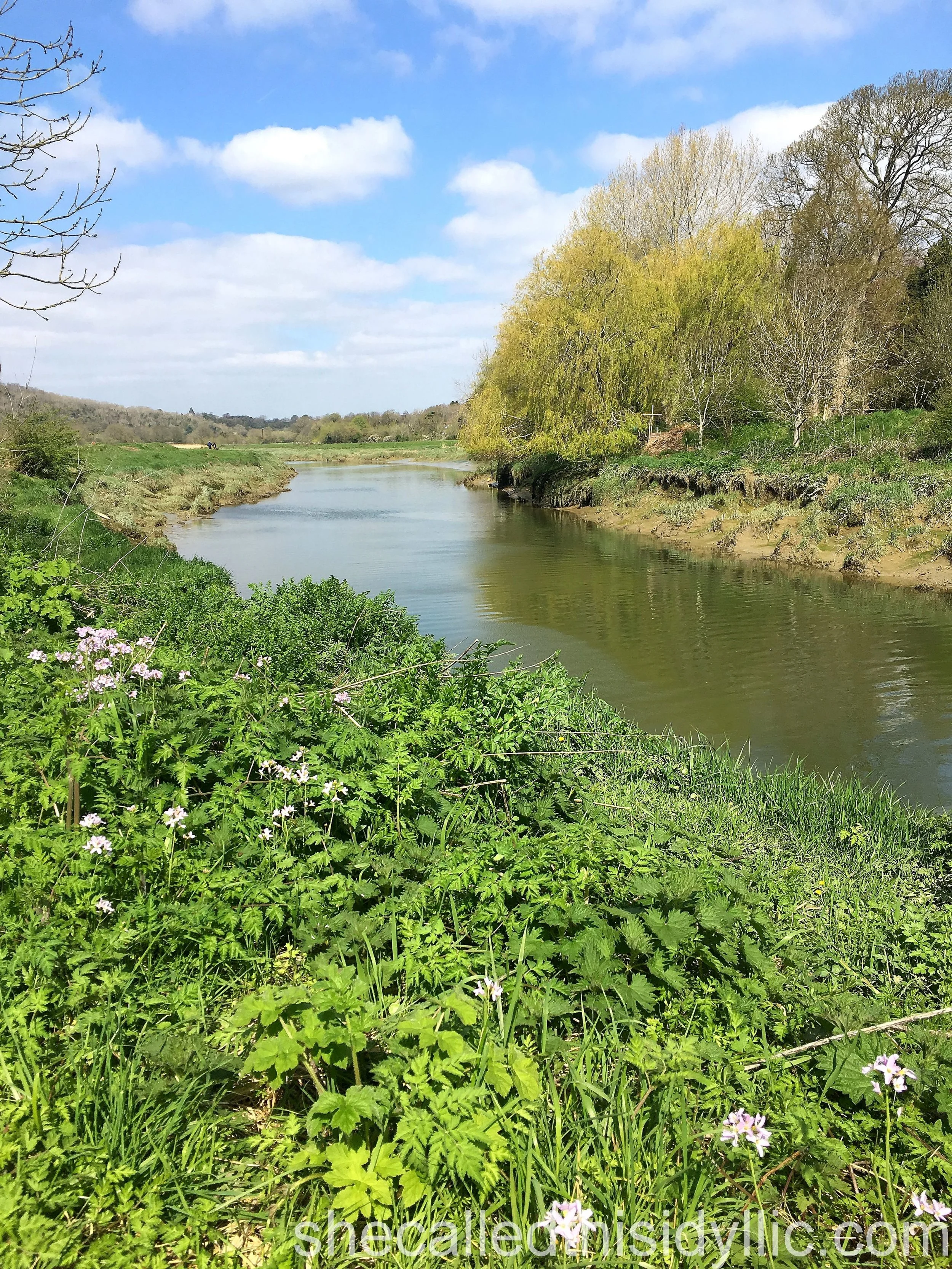 But Whatever You Can Find, Take It