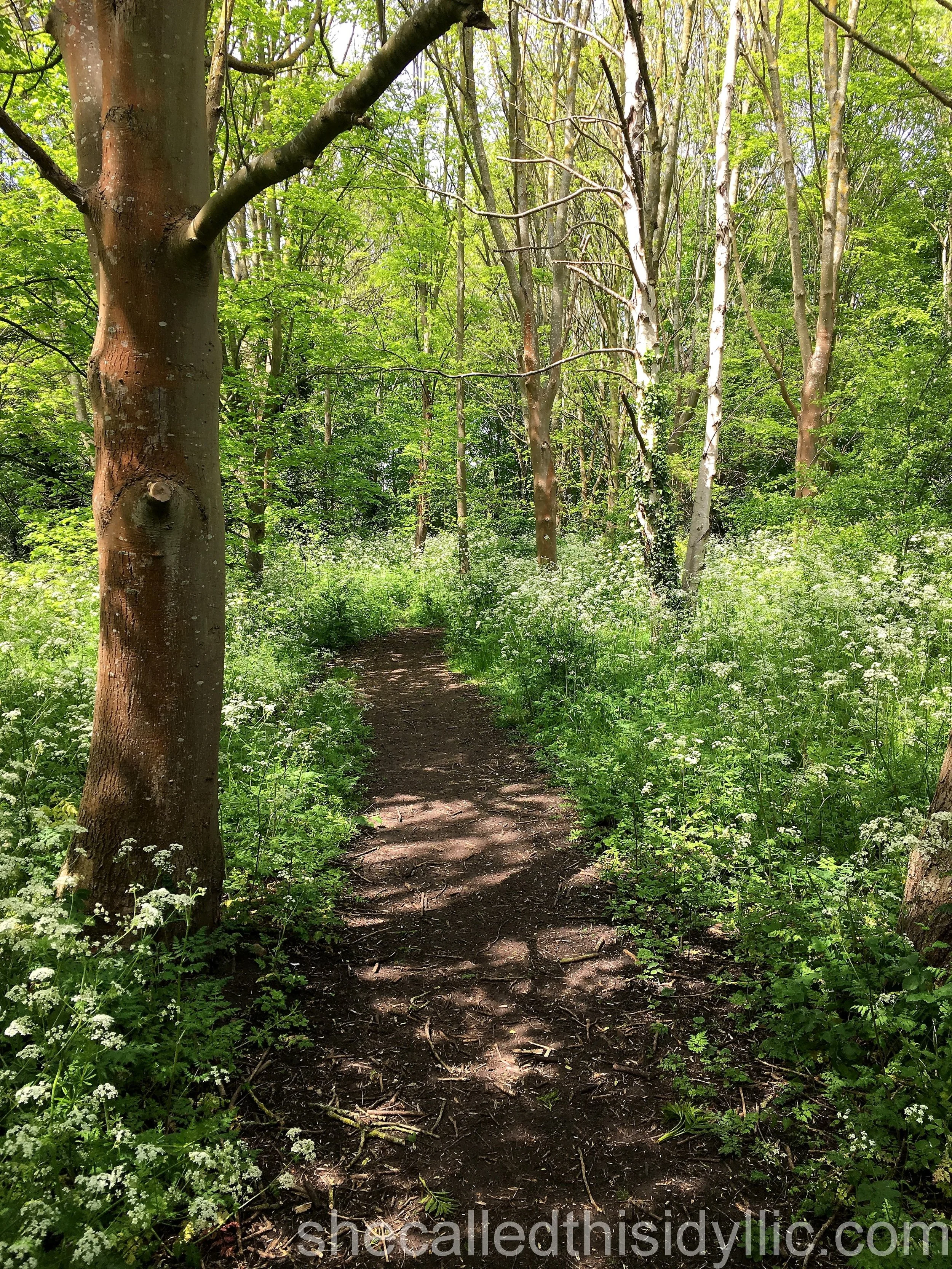 Nature Calls At Times Of Crisis