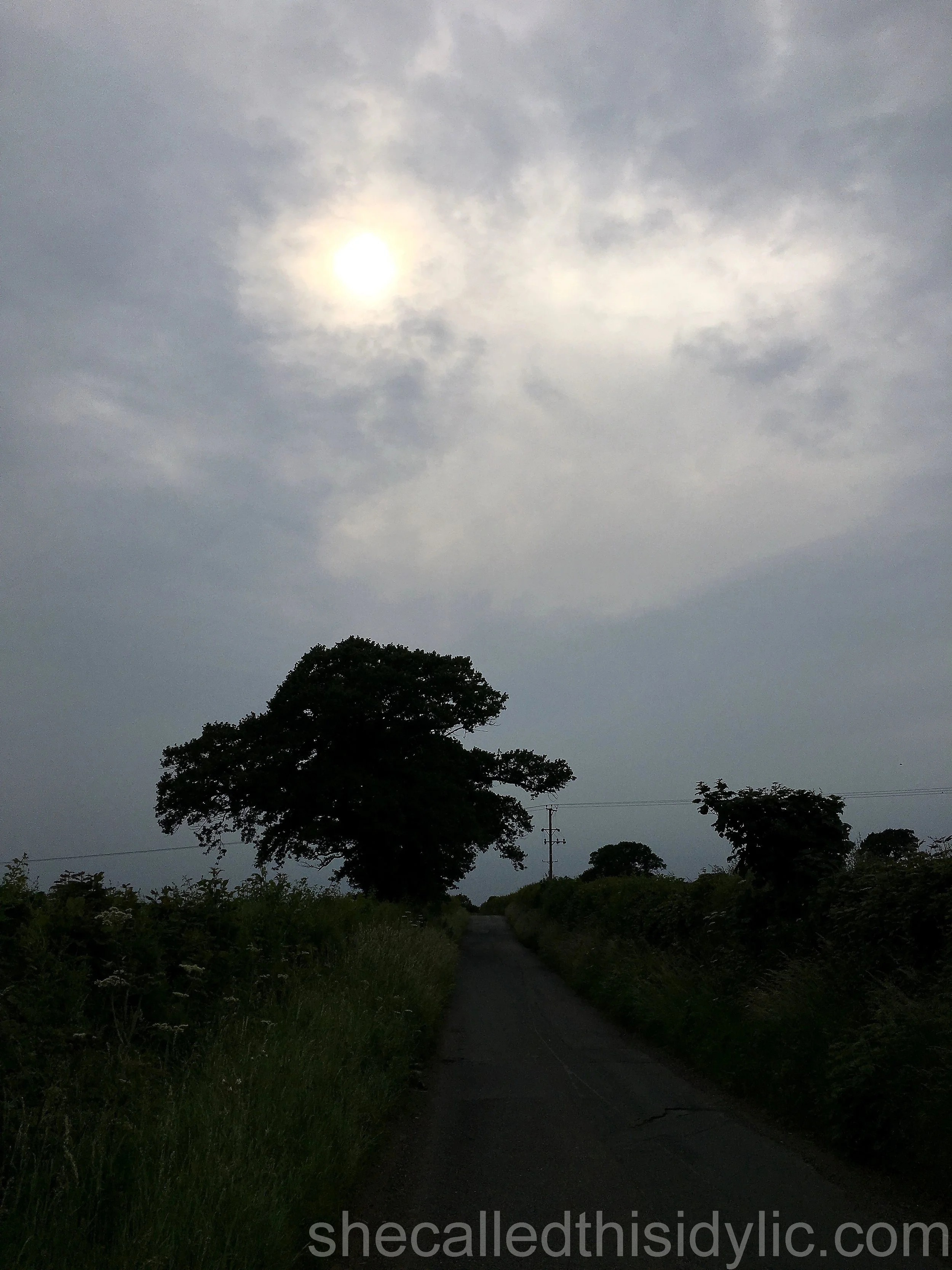 The Glorious Sound Of A Stress-Free Sunday