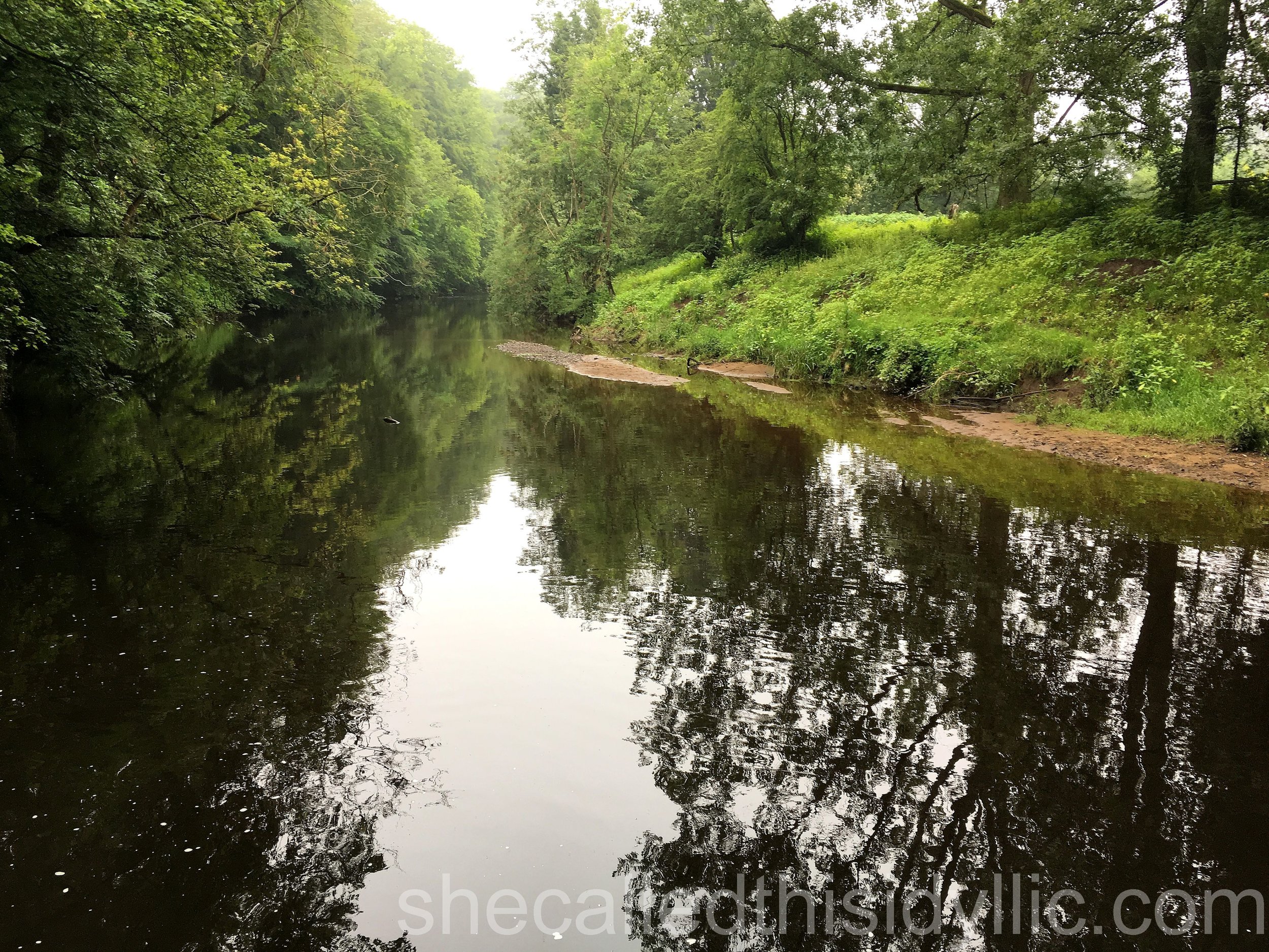 Brown-Signing Is Very Much A Thing