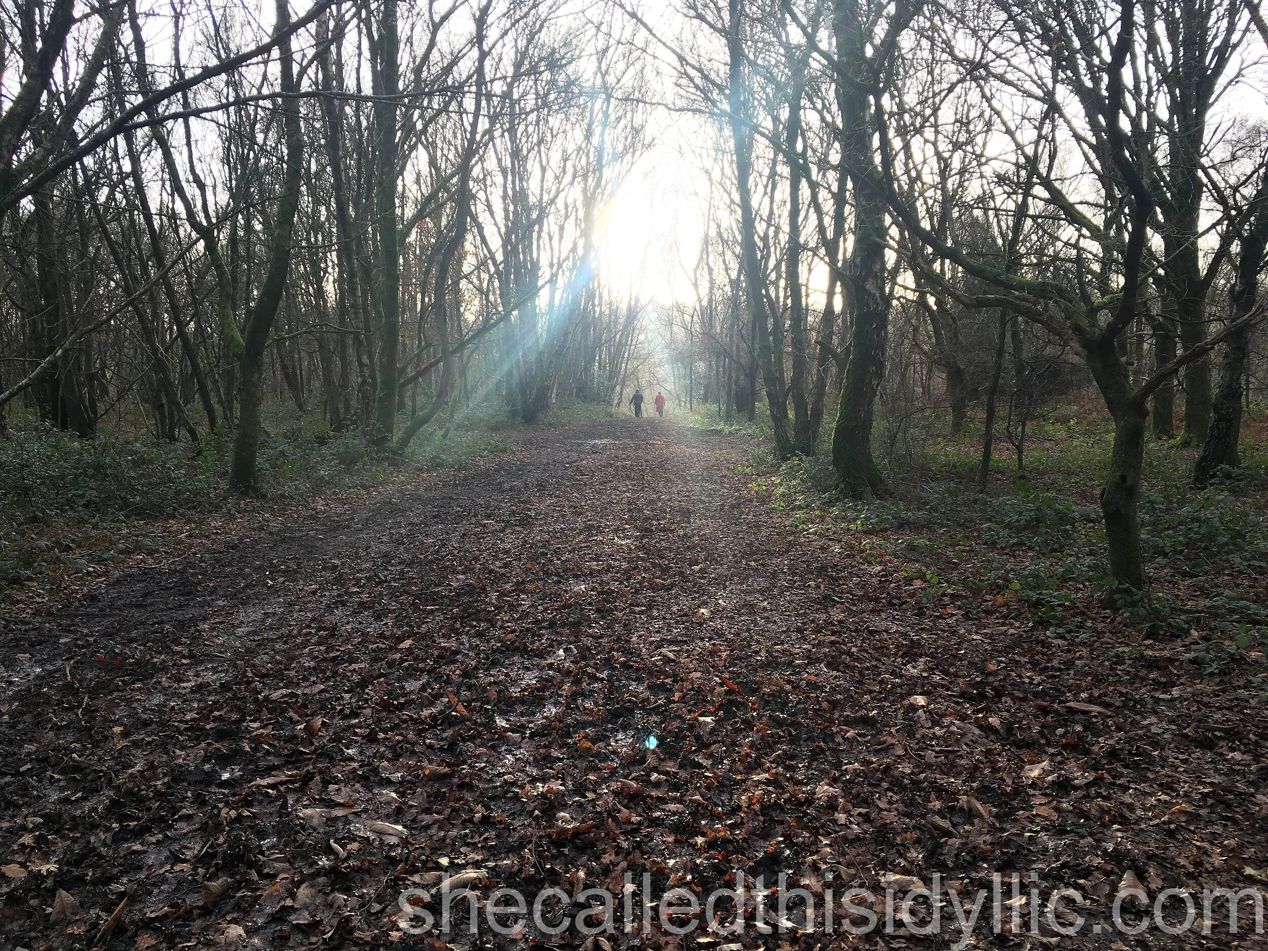 Absolute Certainty That Things Are Not Right