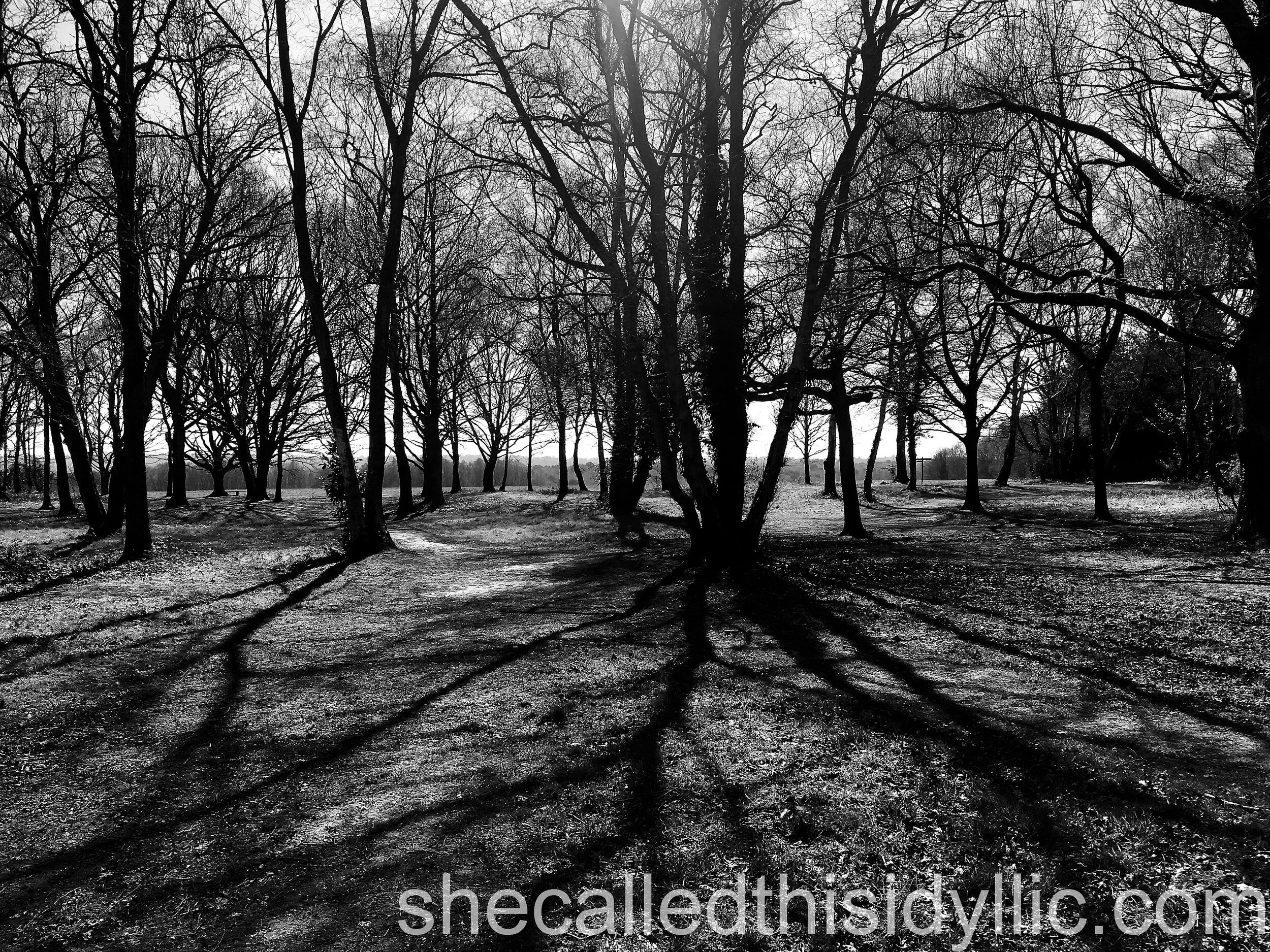 Perhaps The World Has Lost Its Colour