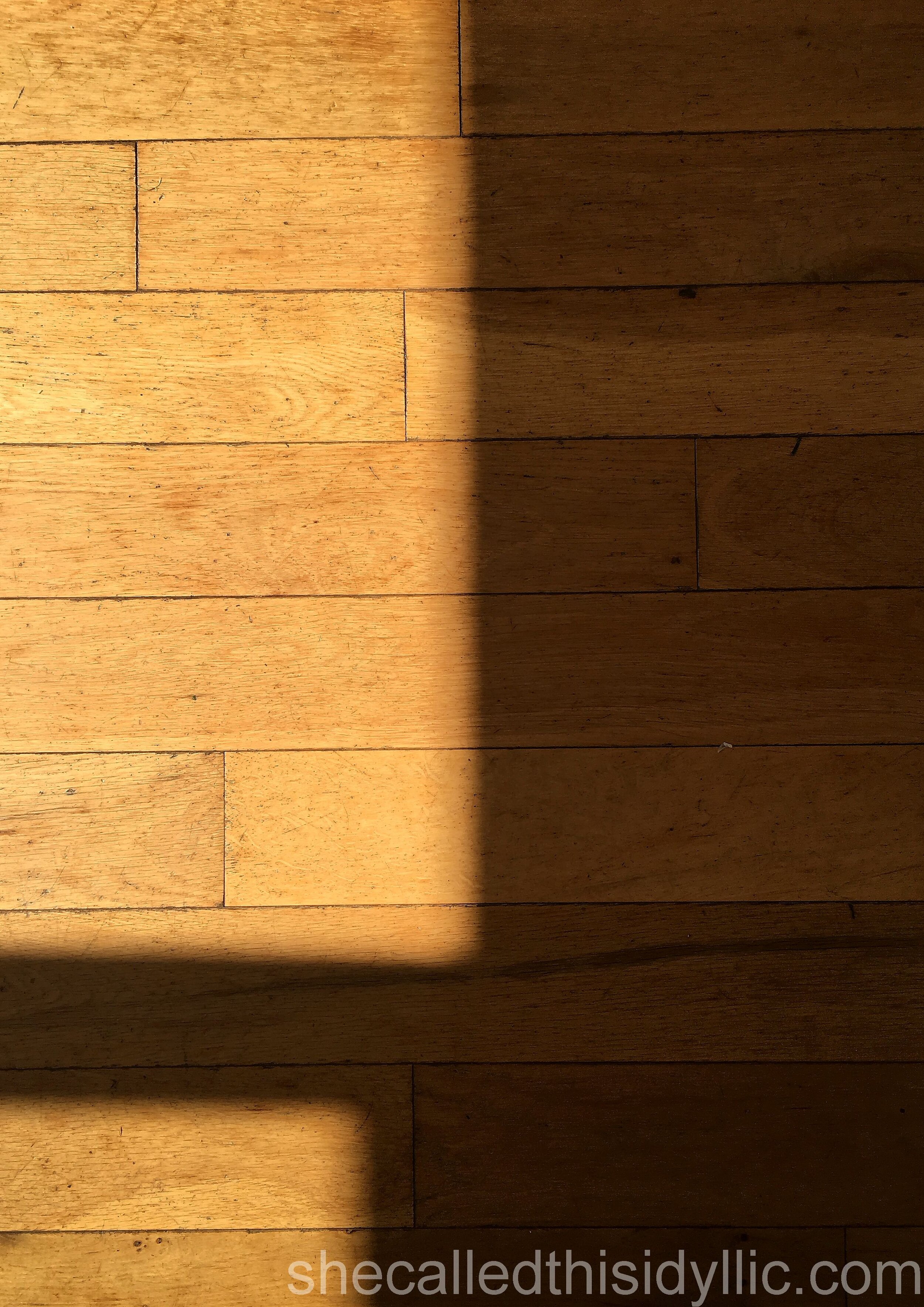 Because This Has Become Our Lives For The Time Being