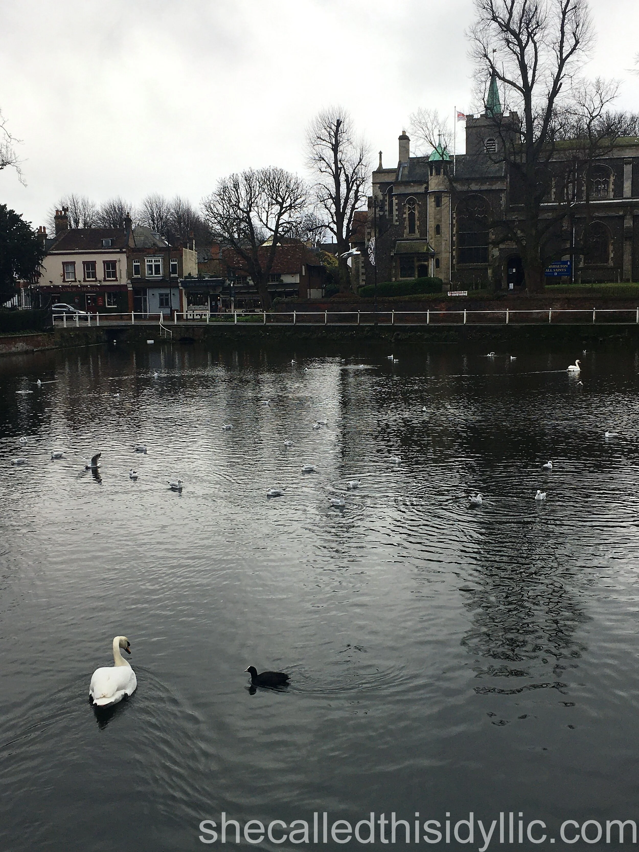 The Rain Will Come Soon But The Greyness Remains