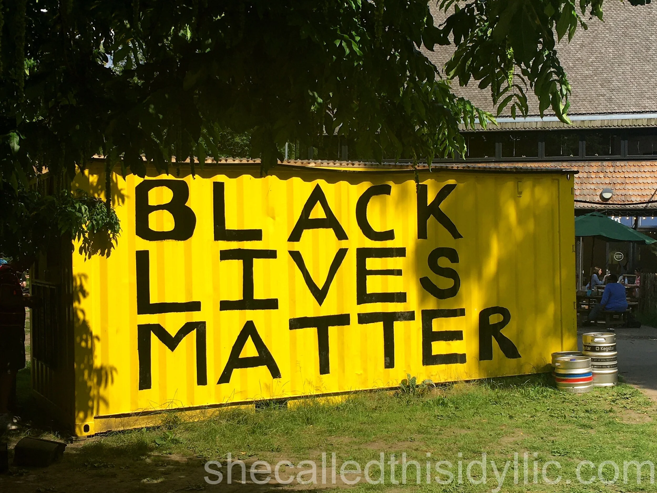 Black Lives Matter Because All Lives Matter
