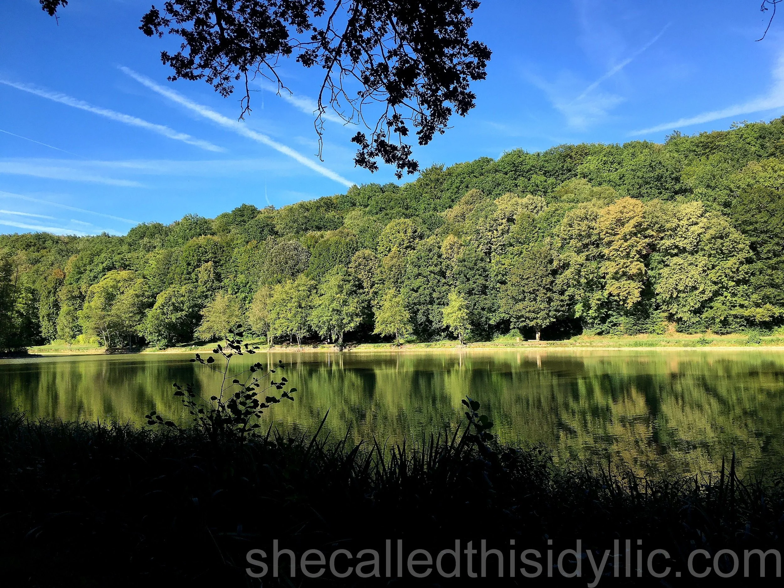 When Unpleasant Things Command Our Attention