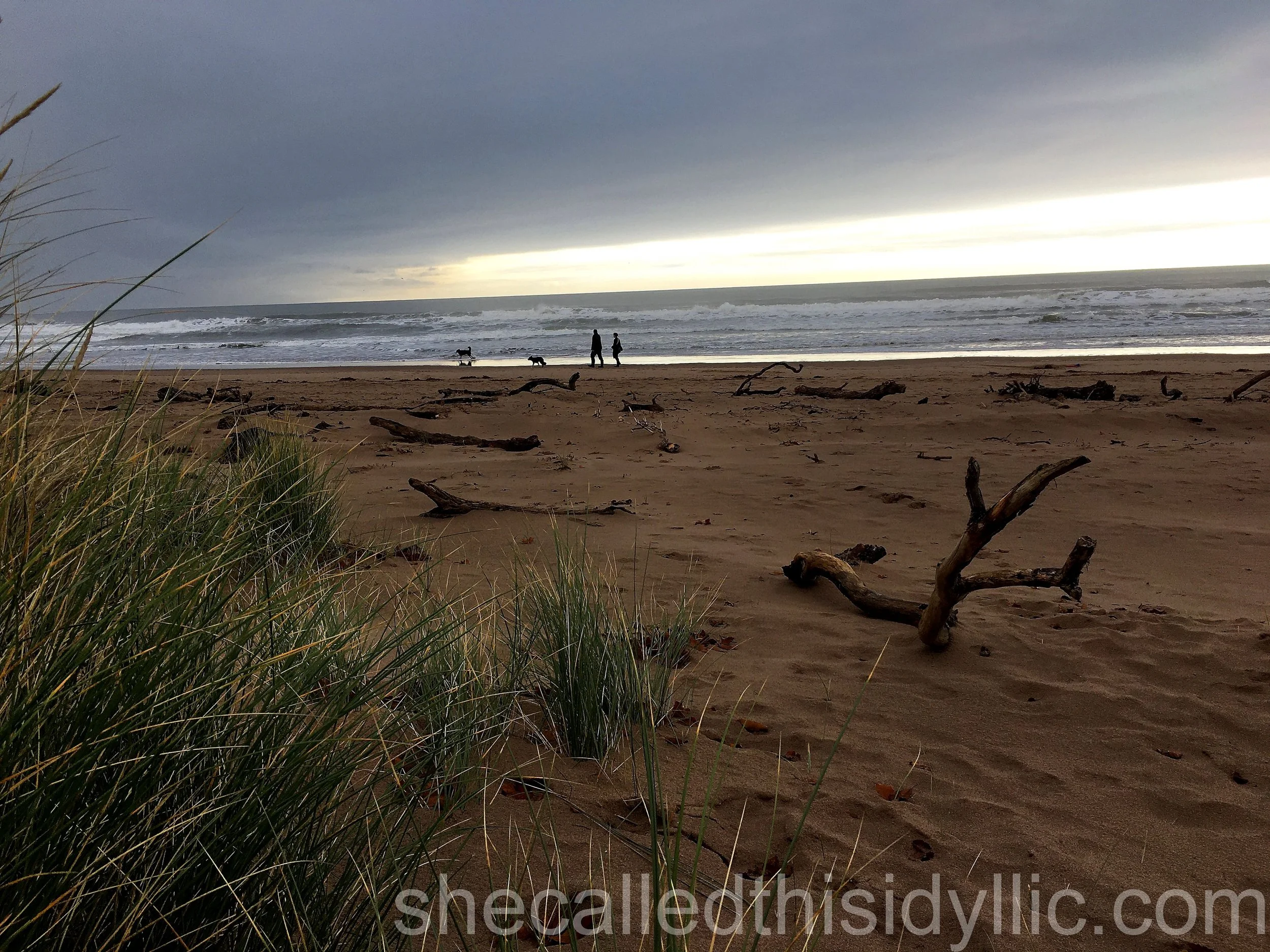 Scotland Road Trip 2022 - Part Two - Forcible and Pathetic