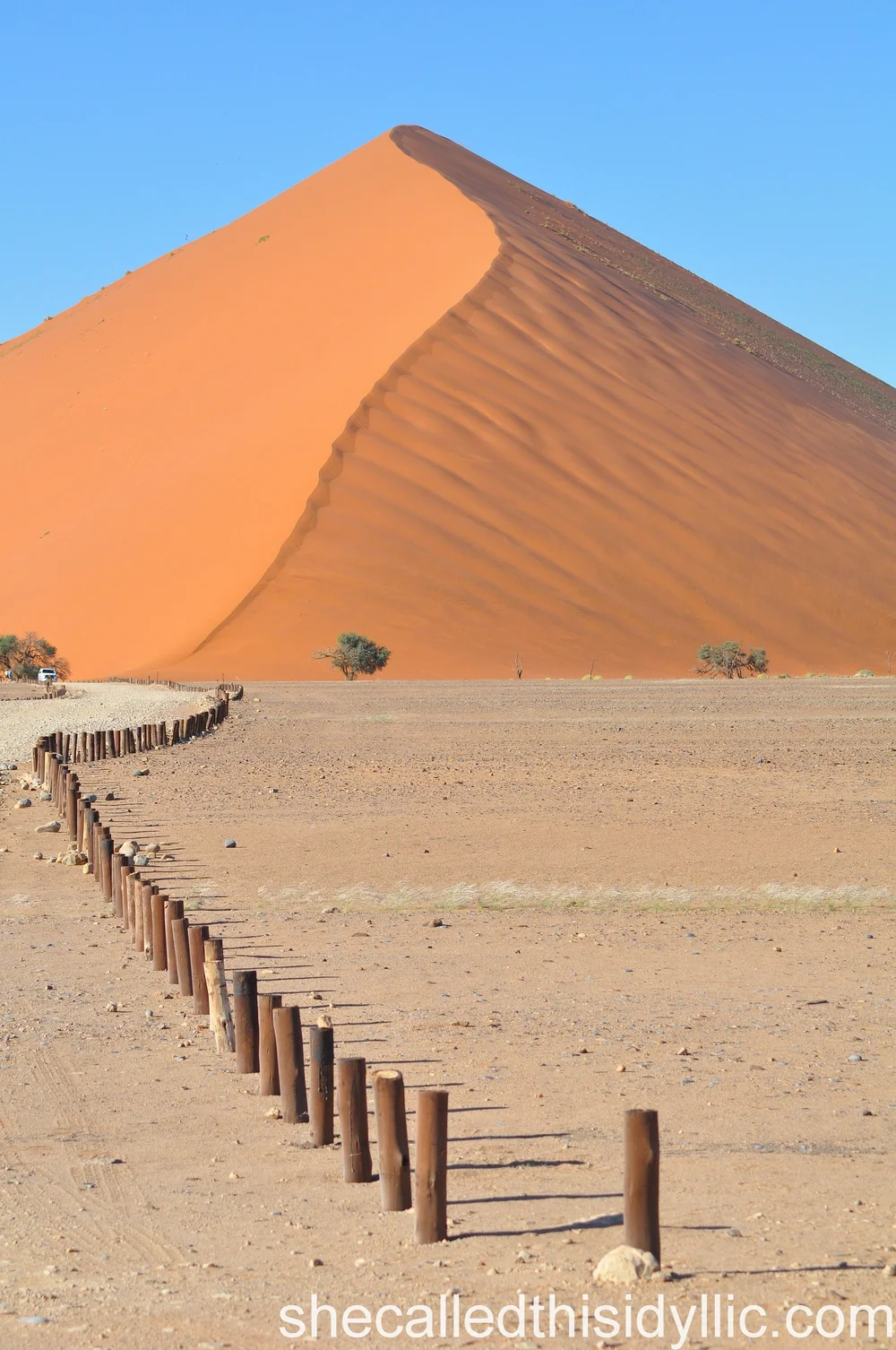 Sand dune at Sossusvlei
