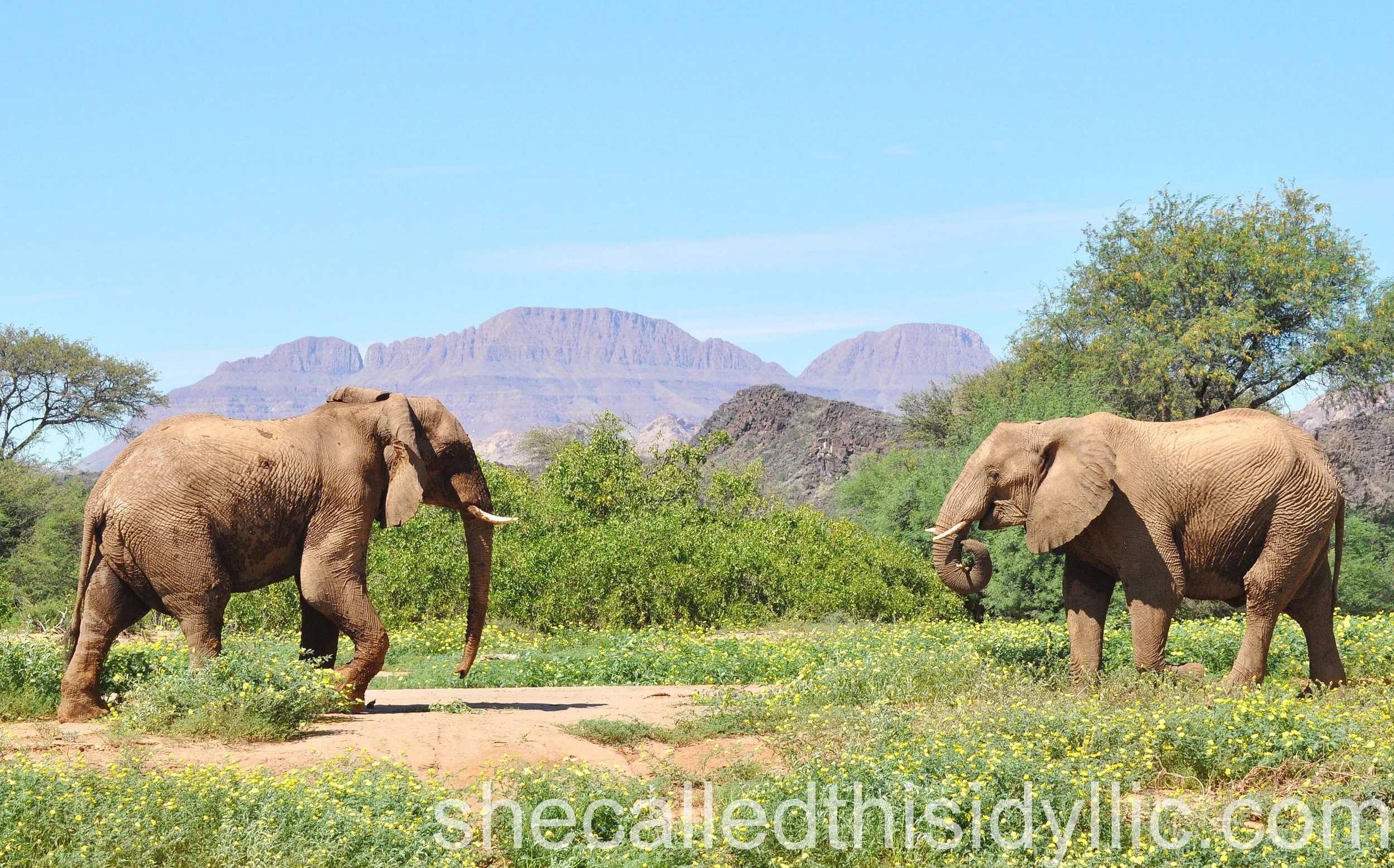 Vast Areas Of Nothingness