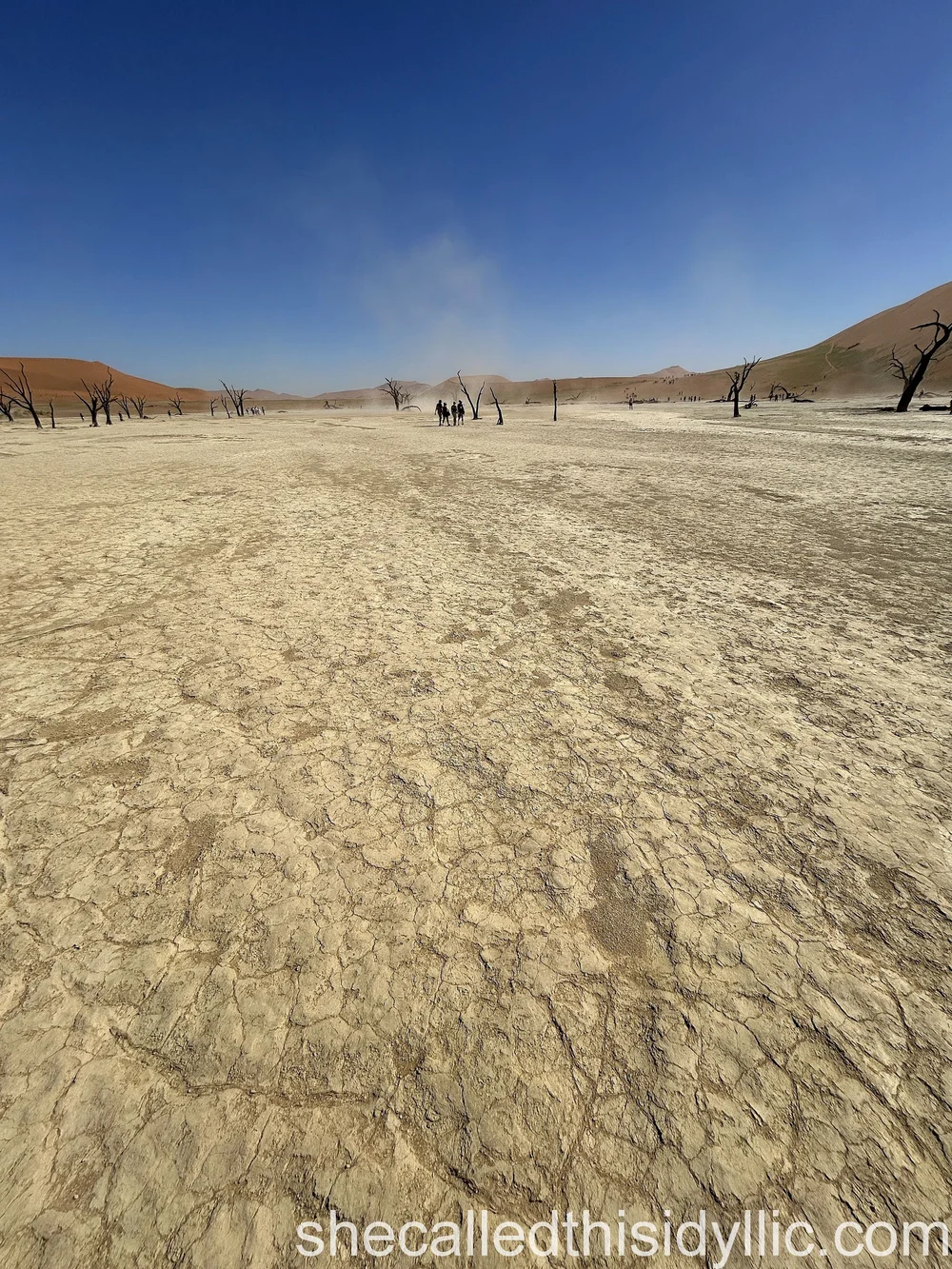Sandstorm at Deadvlei