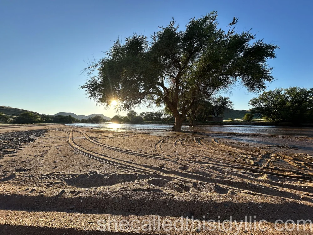 The morning after the storm