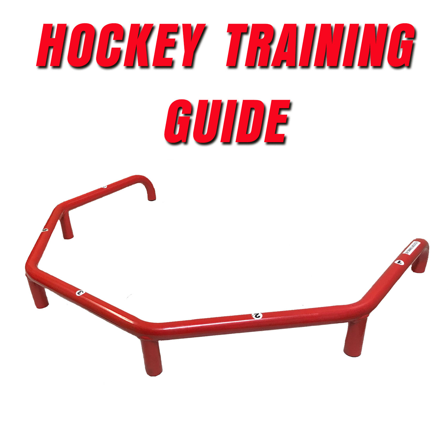 hockey training.jpg