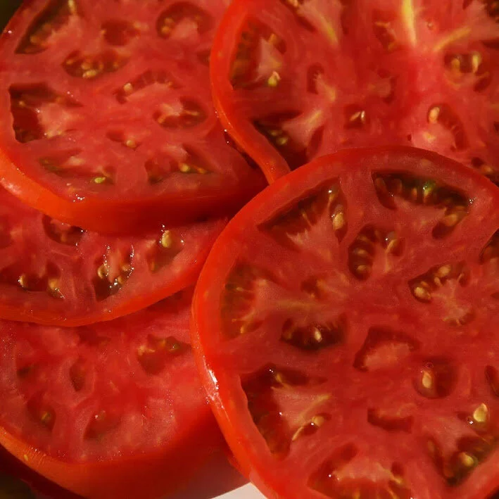 tomatoes.jpg