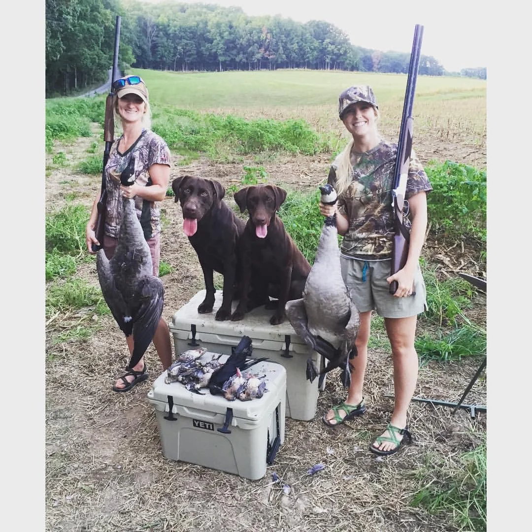 Your pups first dove hunt and what to expect
