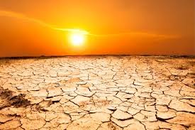 heat wave