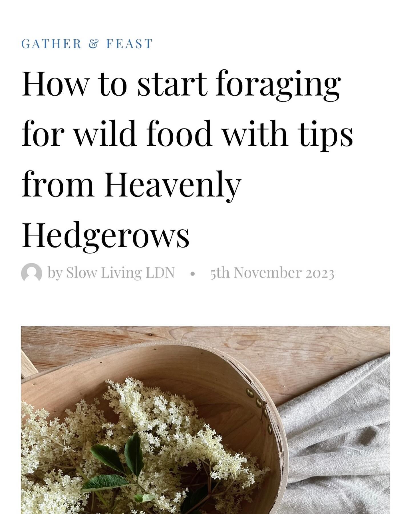 With wild garlic soon to finish and a few elderflower heads springing up, I was reminded of a piece that Beth at @slowlivingldn wrote with me last November. Exploring the benefits of foraging and mindfulness and also reminding about courteous foragin