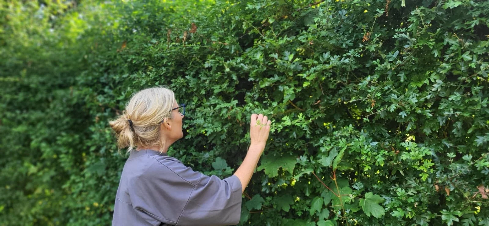 Learn to Forage - SOLD OUT