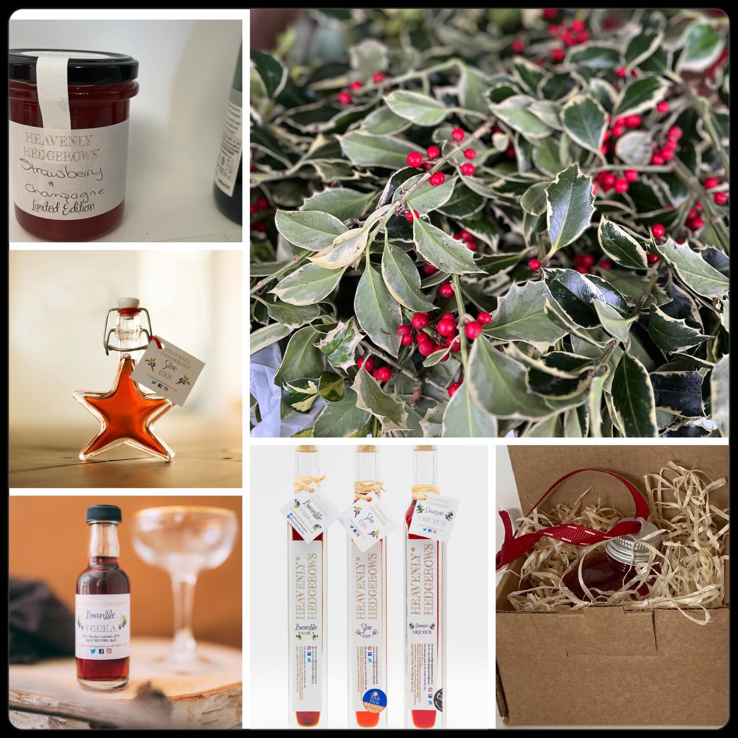 Decorative Holly available in bunches this Saturday at Keynsham Farmer&rsquo;s market along with some limited edition Christmas specials like Strawberry &amp; Champagne Jam, Boxing Day Chutney, Whisky Marmalade 
Market Walk, 9am-1pm @somersetfarmersm