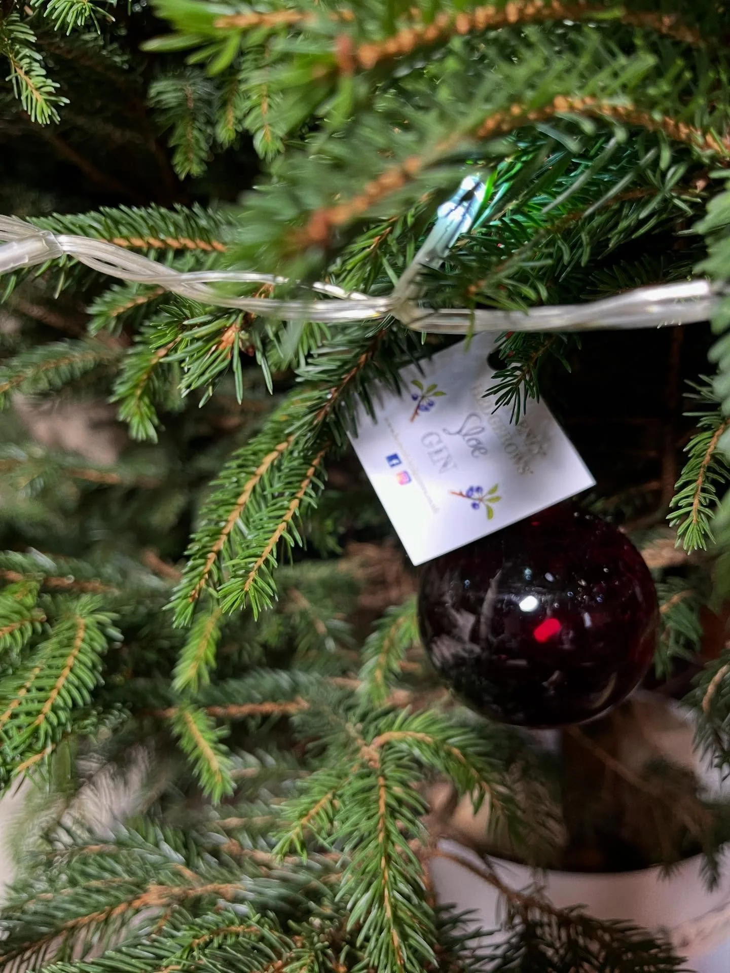 Light up your tree! Available now online or at Keynsham Farmer&rsquo;s market Sat 13th Dec and @madeinbristolgiftfair Sun 14th Dec 😋