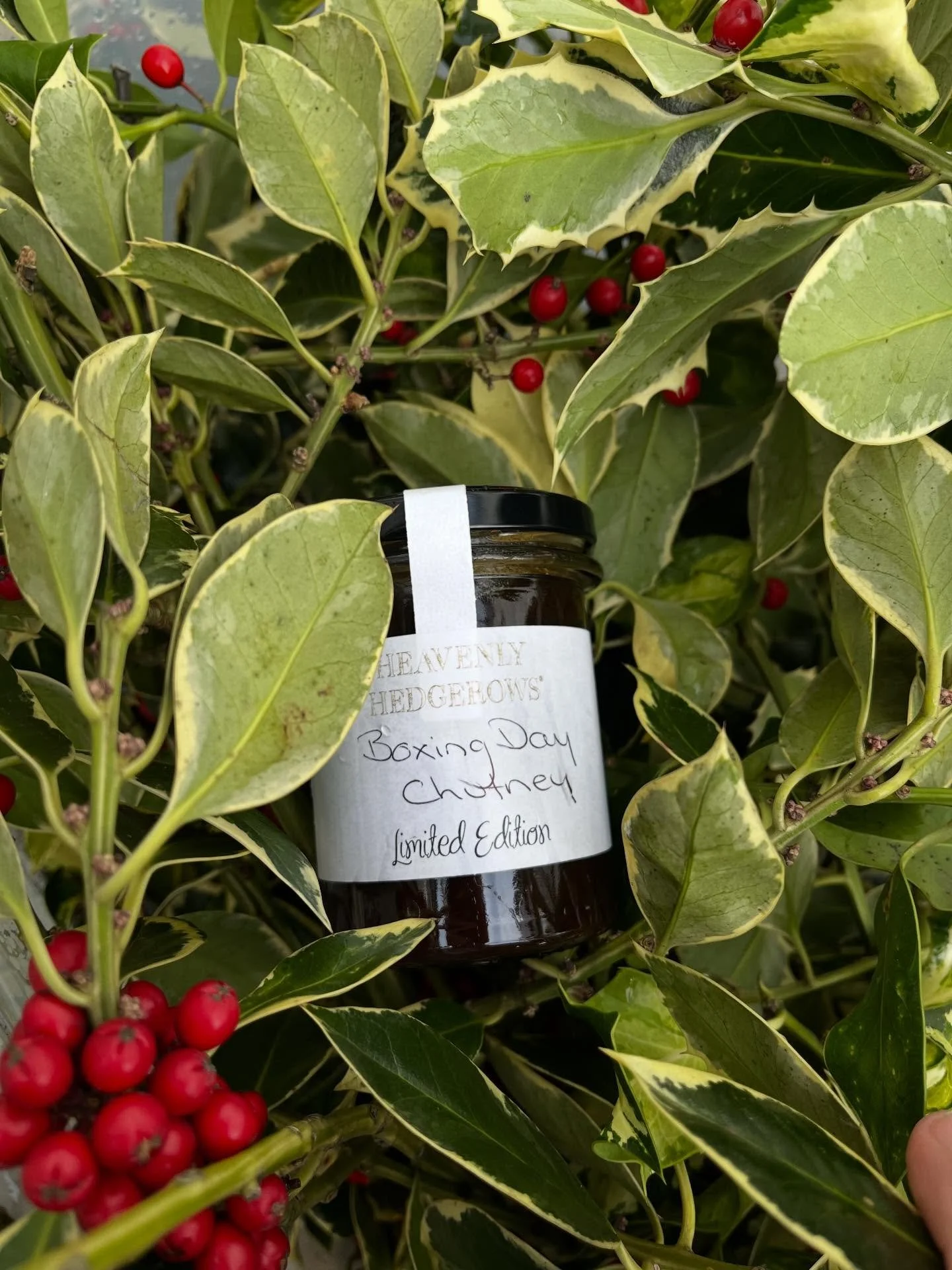 Just 10 jars left of our very limited edition Boxing Day chutney. Available online now for delivery before Christmas. 
Last day for online orders Fri 19th Dec. 🧀