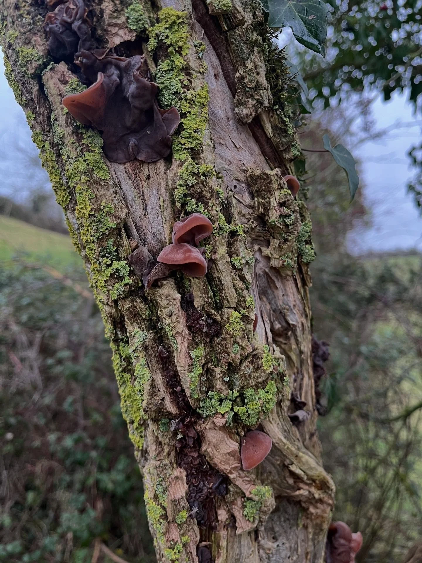 2026 plans and thoughts. We worked right through Christmas and New Year to fulfil orders and restock shops. After a weeks holiday I&rsquo;m back at work today with lots of ideas. Maybe they&rsquo;ll happen, maybe they change. But one thing I really w