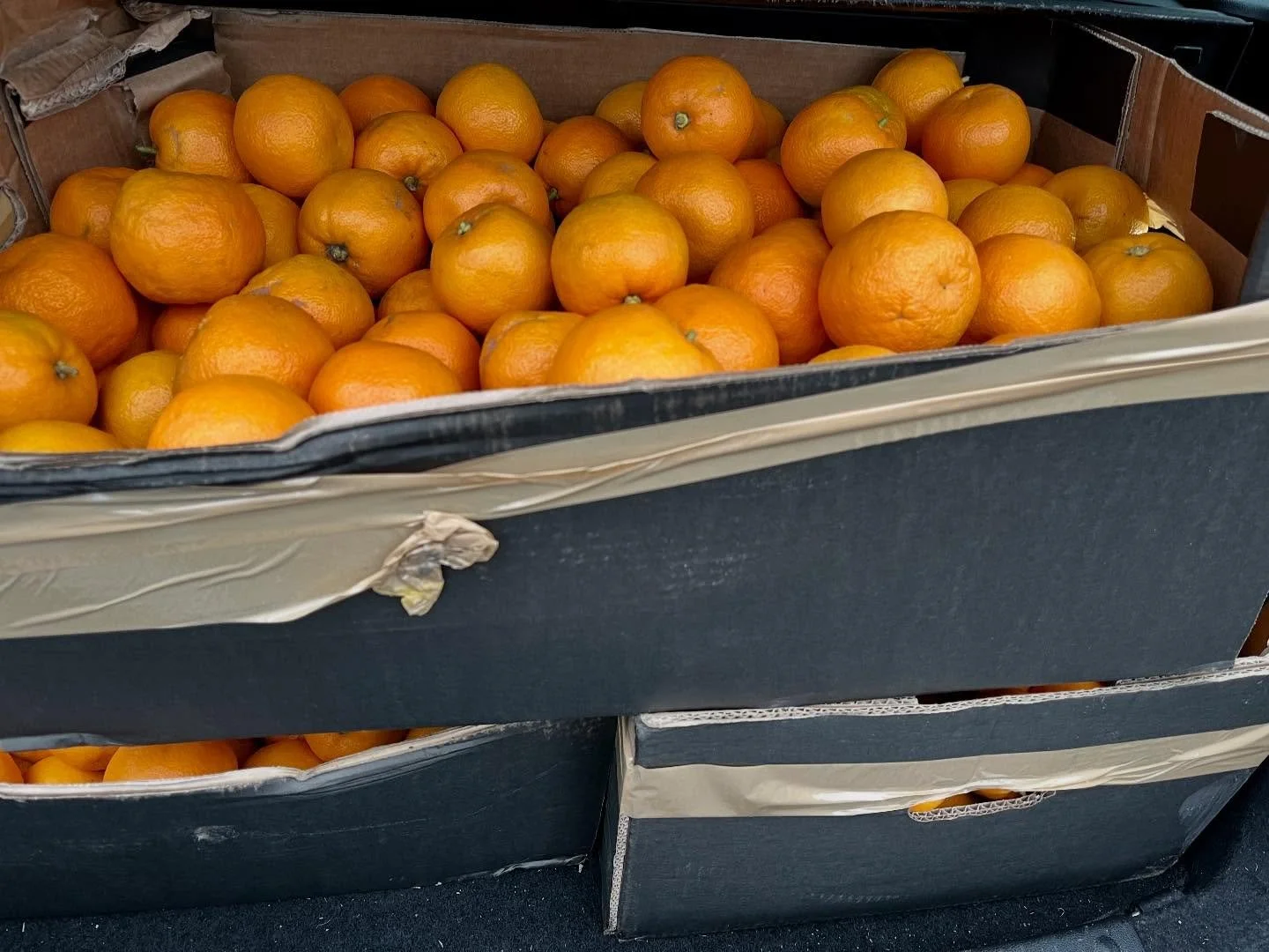 A little later than usual gathering my Seville oranges this year, but they are beautiful nonetheless. Three generous boxes, each one destined to be patiently and finely hand-sliced.

This month I will mostly be making marmalade.

I never use commerci