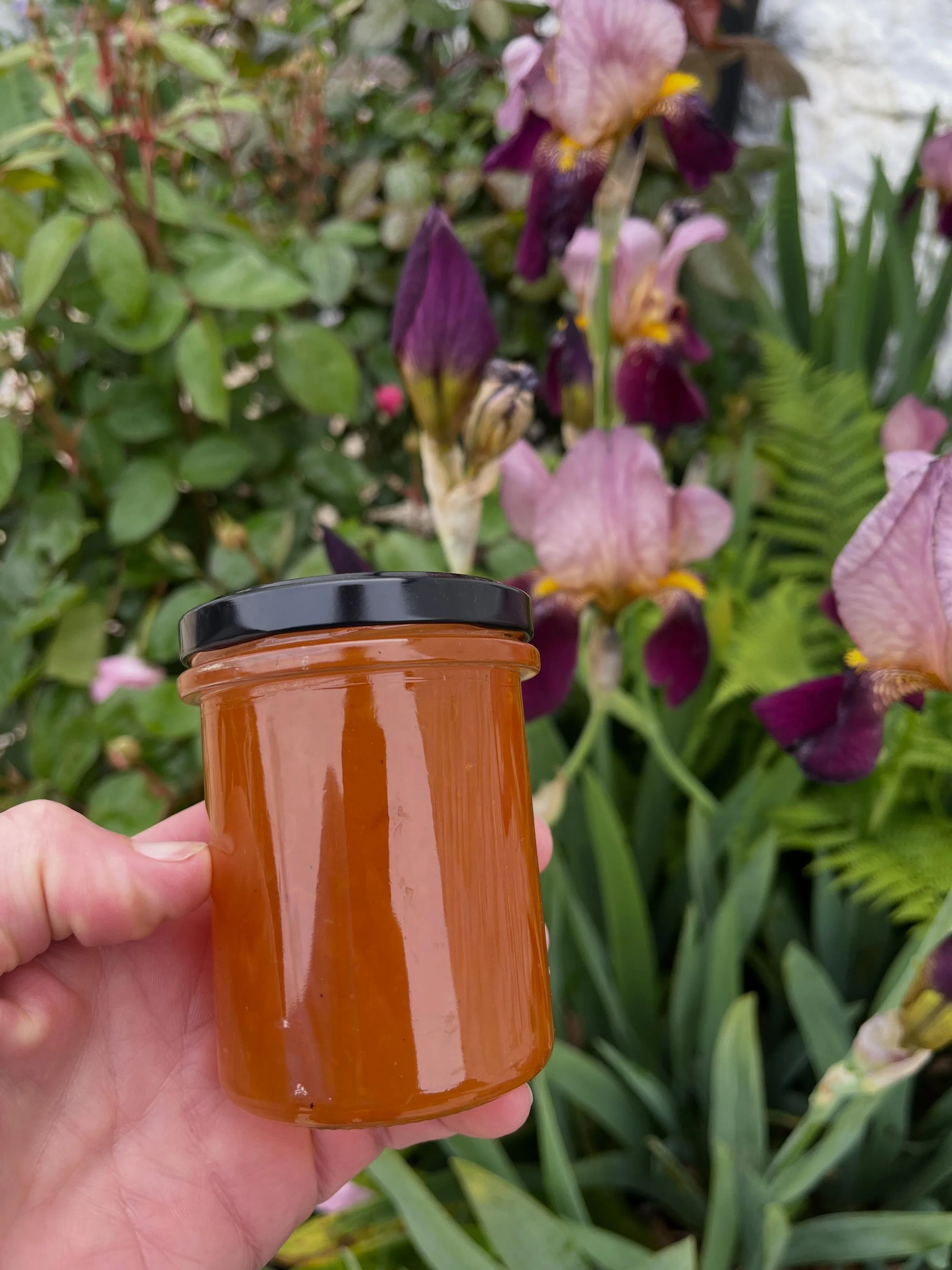 Absolutely delighted with the beautiful set and golden glow of this apricot jam. Lovingly made in tiny batches with no added pectin, allowing the fruit to truly shine. Available only while stocks last &mdash; and I even managed to fill a couple of en