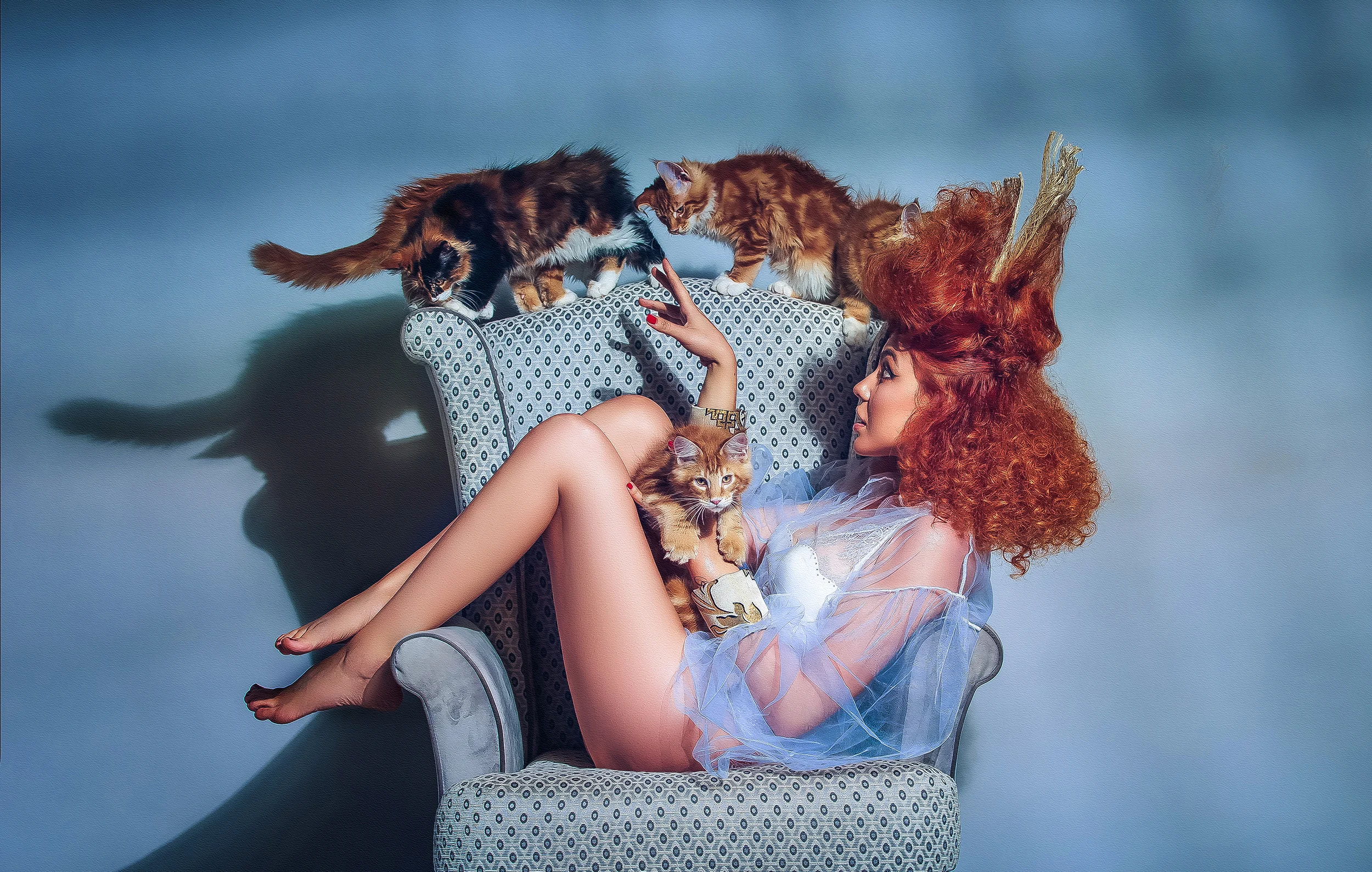 crina popescu pisici