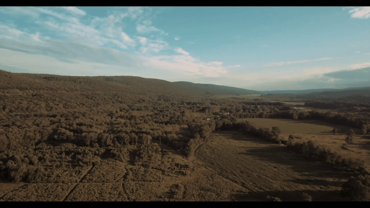 Mountain Field Color Graded 1080p