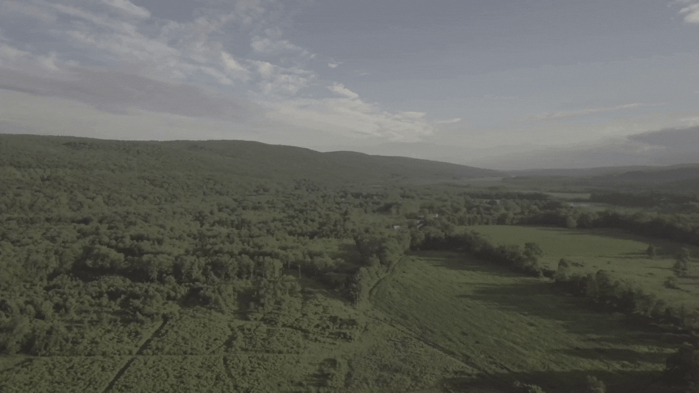 Mountain Field LOG 4K