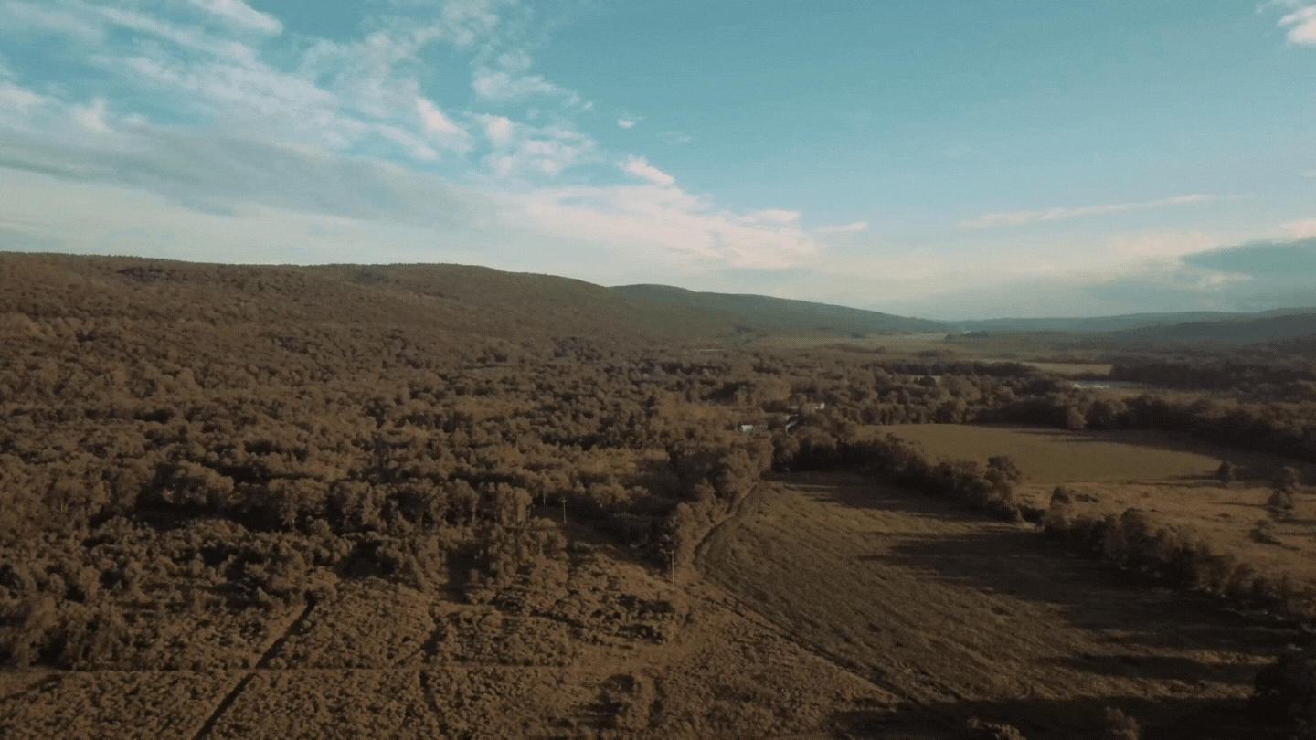 Mountain Field Color Graded 4K