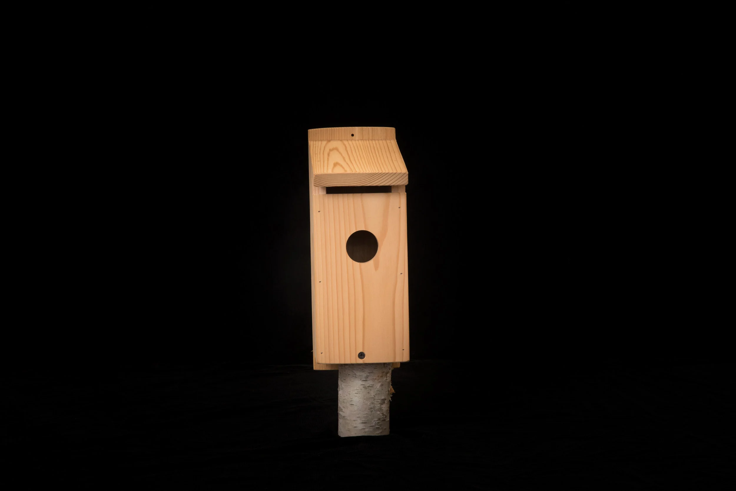 Blue Bird Nesting Box