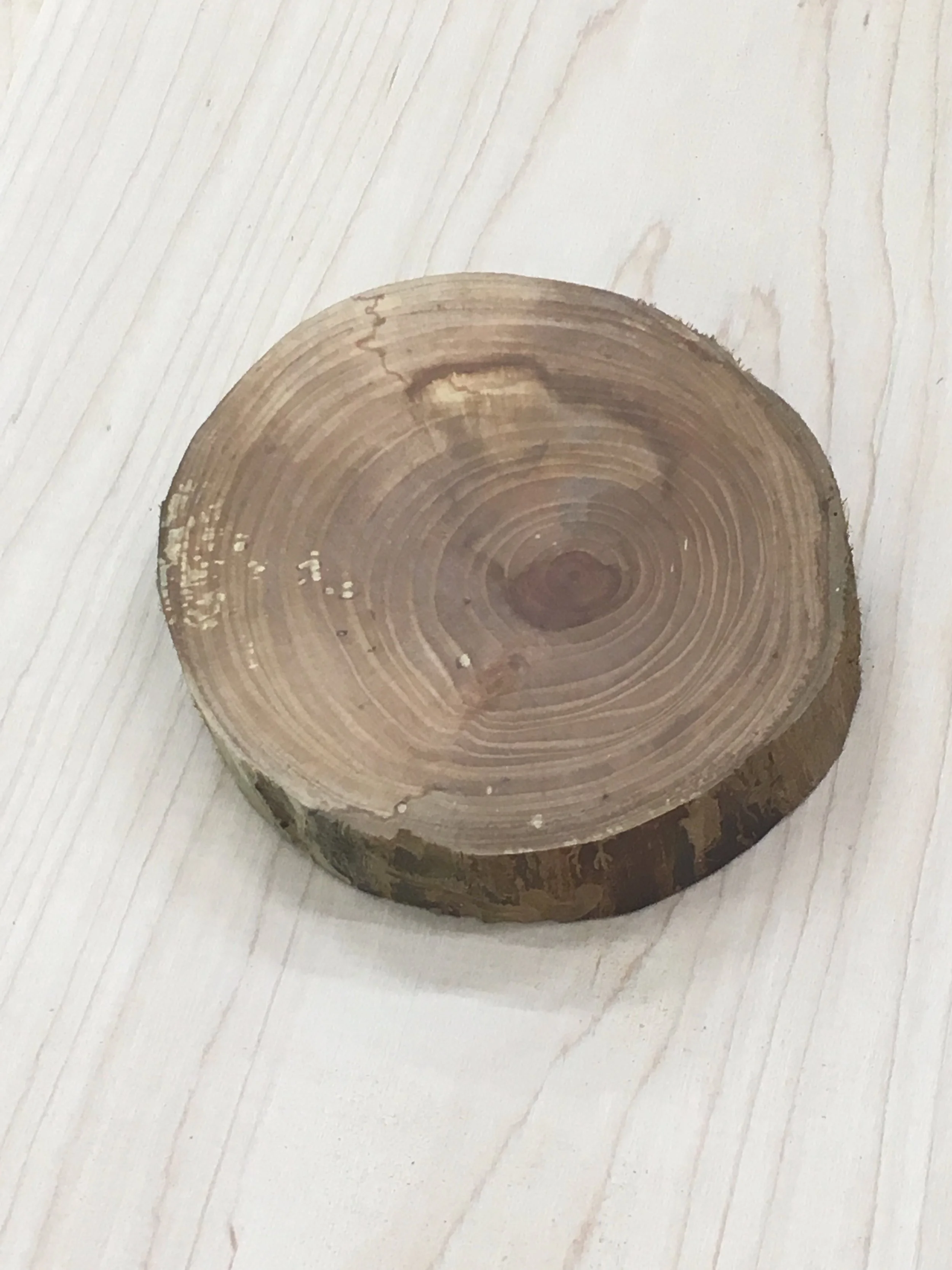 Wood coaster