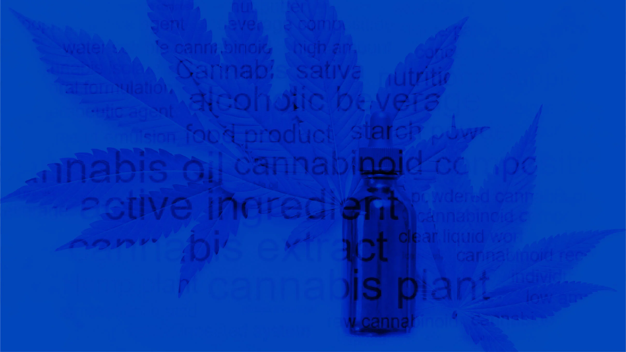 Patent Filings for the Edible Cannabis Industry Are Getting High