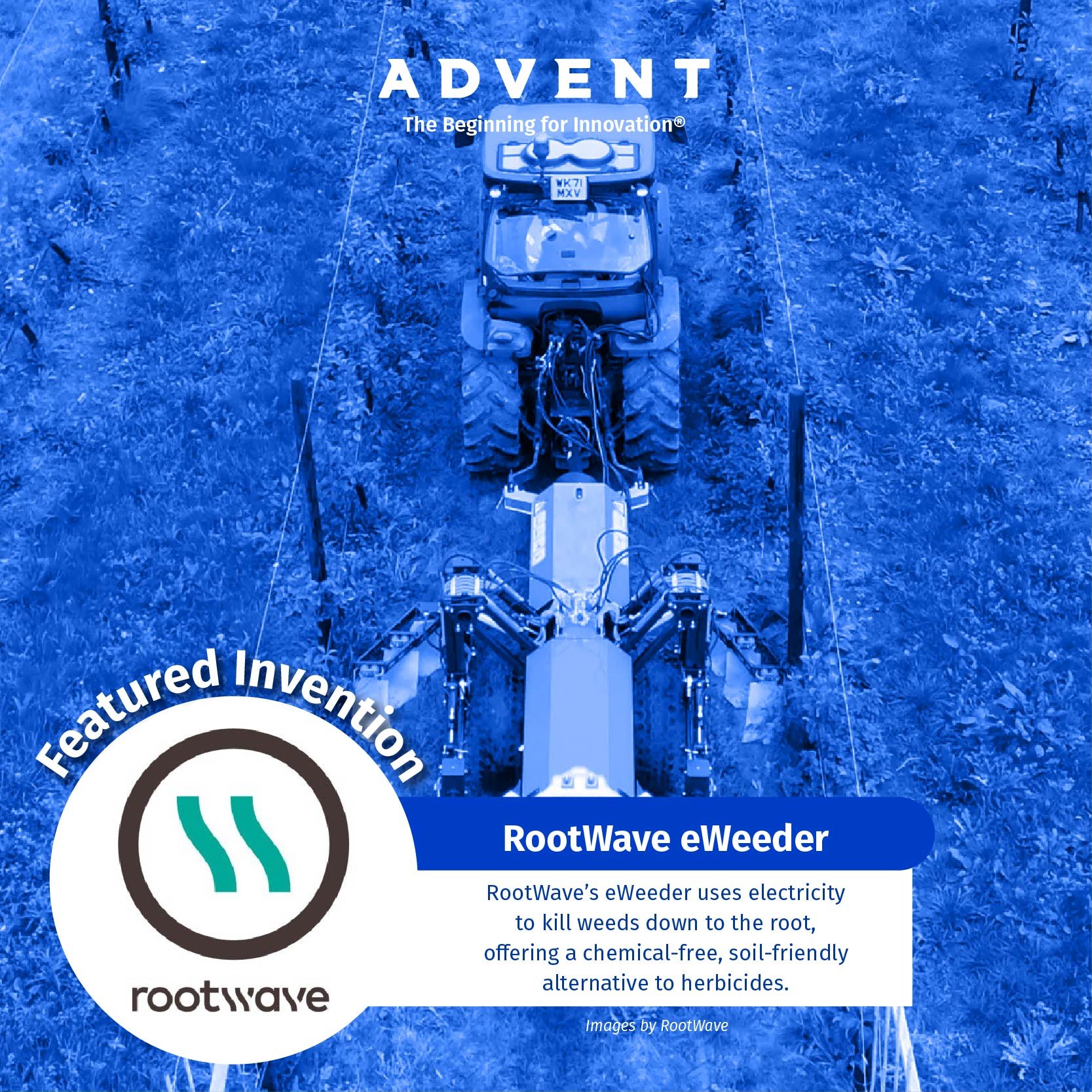 Advent-Q1-2026-Posts-2528_Artboard 1 copy 23.jpg