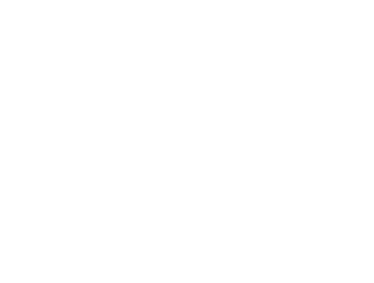 Newton Construction + MANAGEMENT