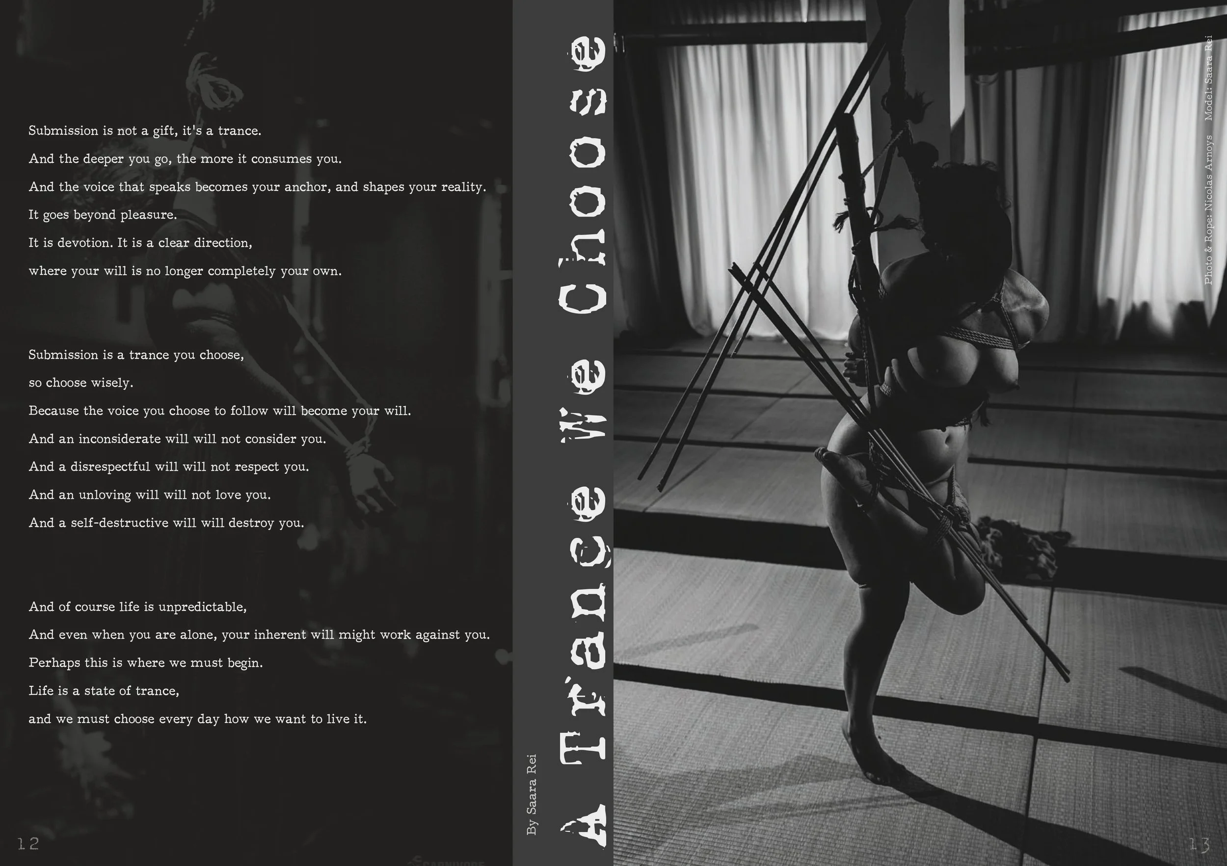 Kinbaku Society of Berlin #15