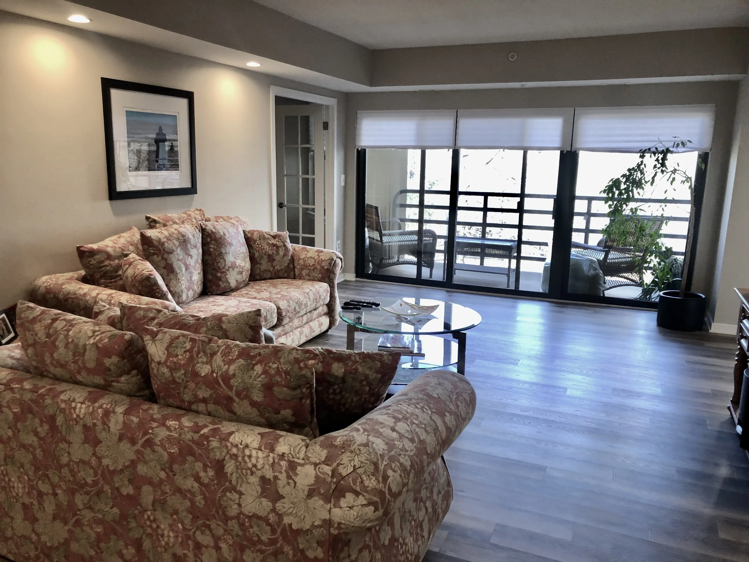 Living room before back .jpeg