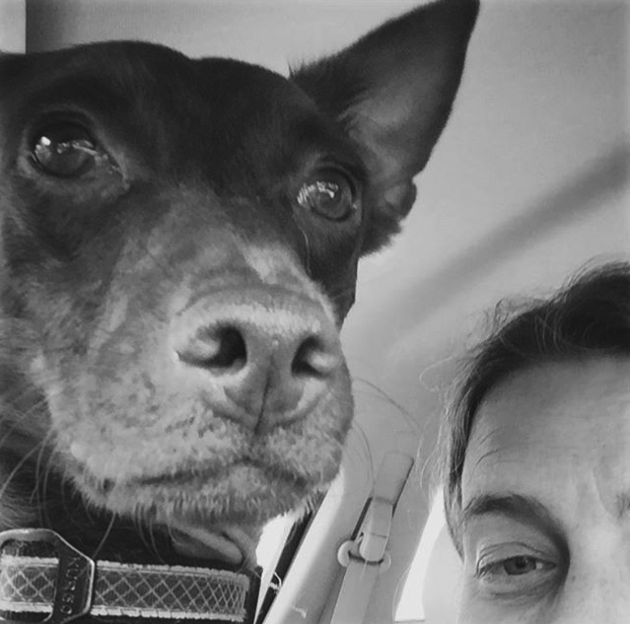 Amina Valentina Coordinator, Mid-day Exercise and Separation Anxiety