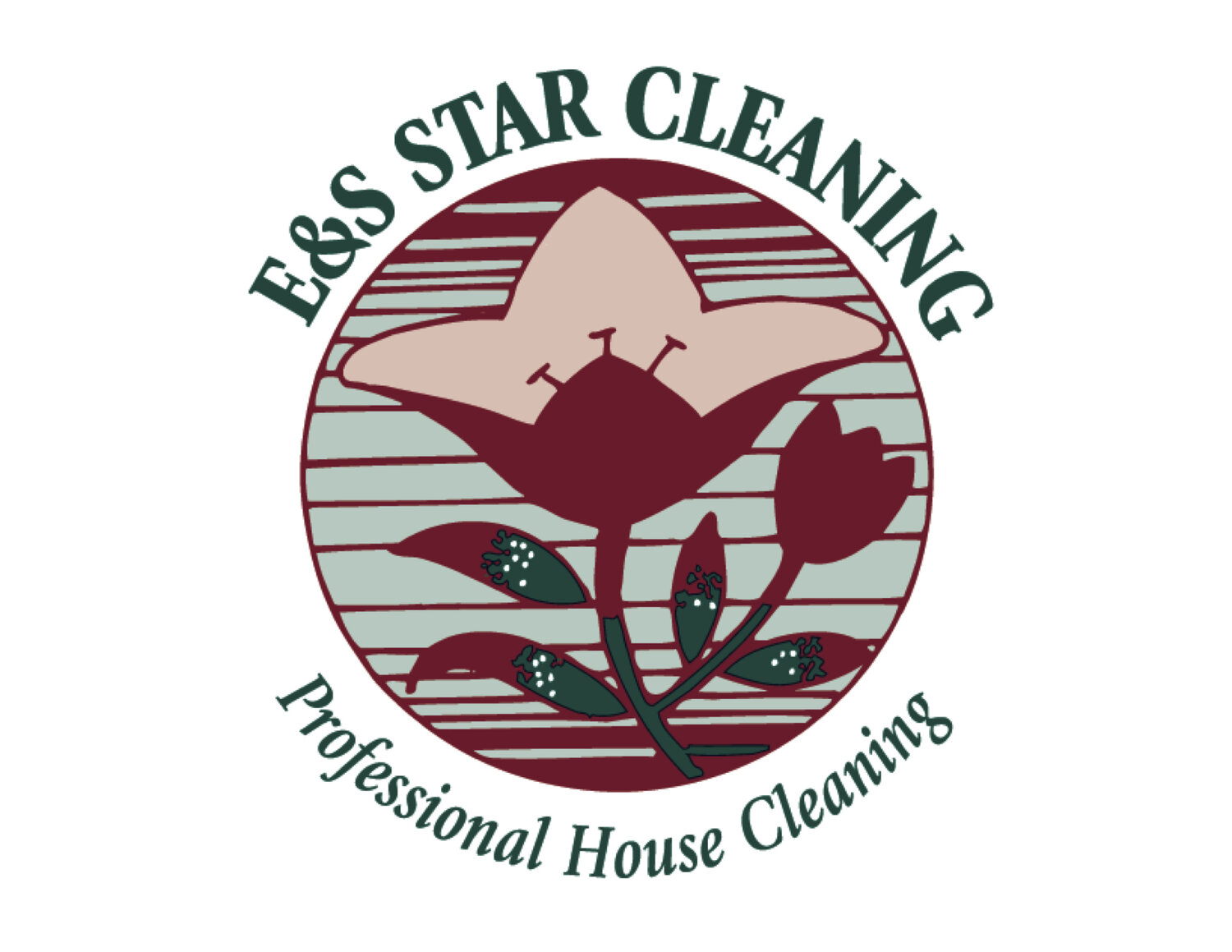 E&S Star Cleaning 