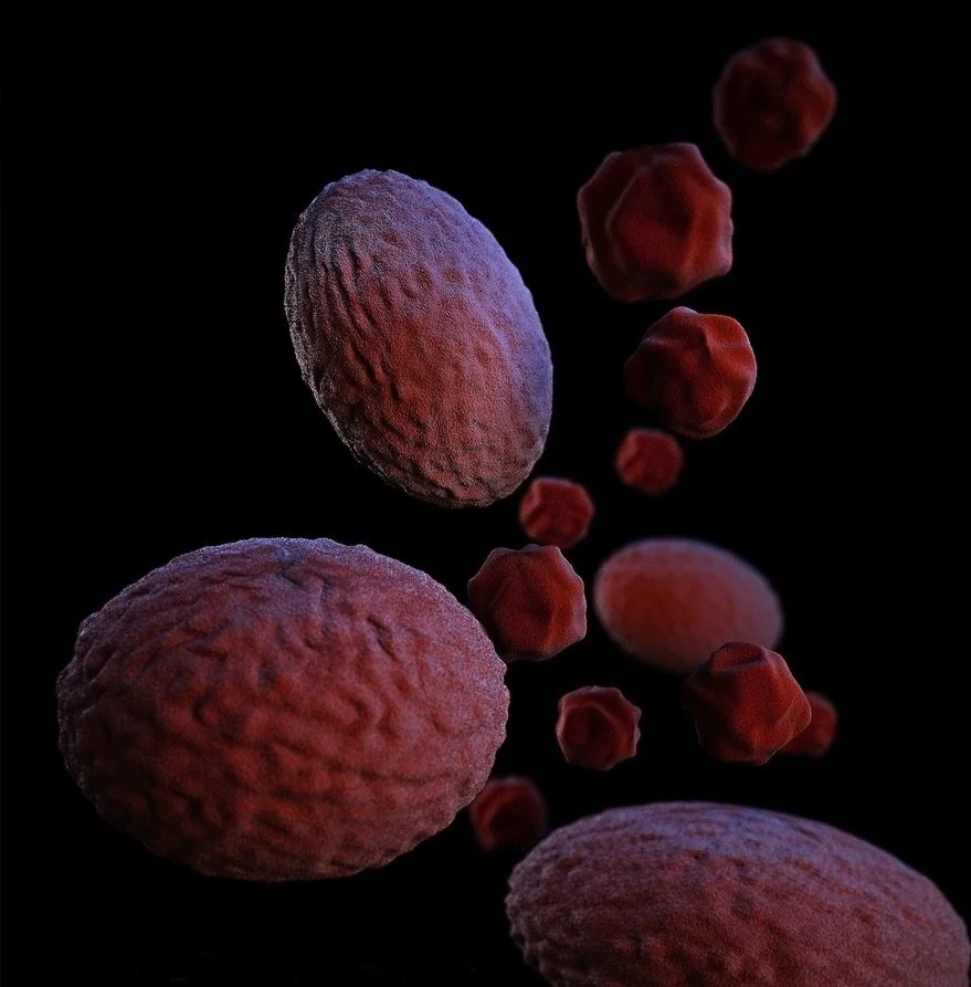 Chlamydia: the disease that hides