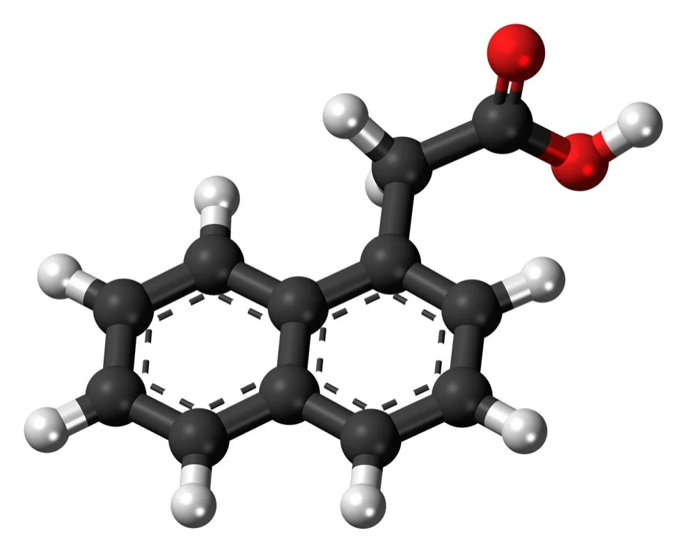 Hormone trickery: endocrine disrupting chemicals