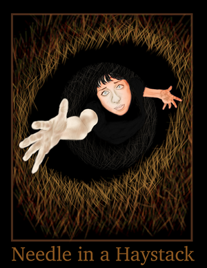 2aPPetersenX_Bookcovers_needle+in+a+hay+stack_bak.png