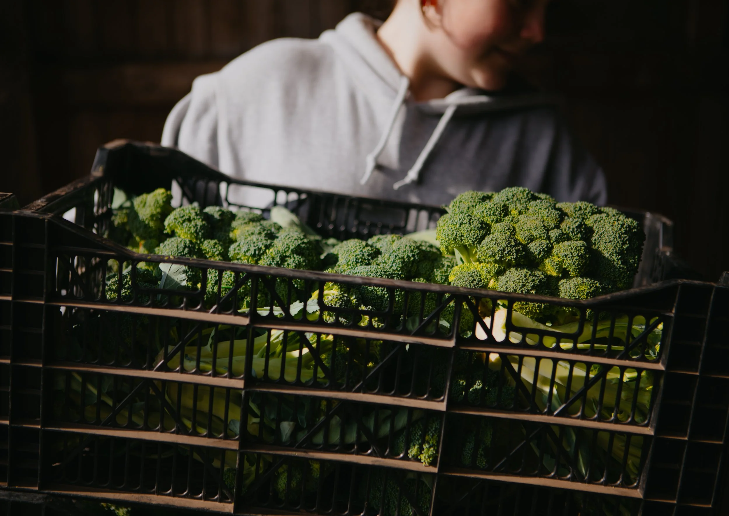 SWEET EARTH FARMS99.jpg