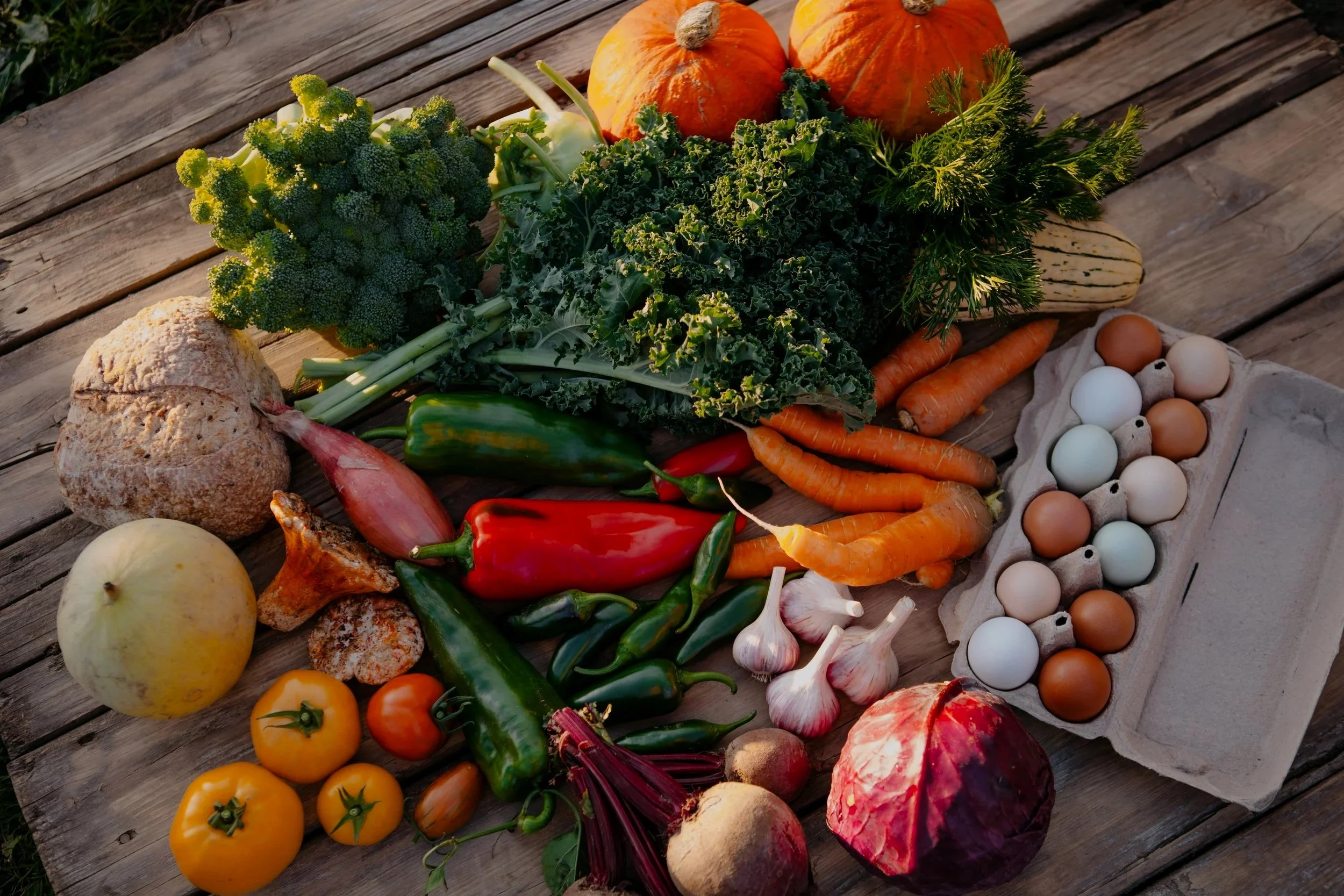 A weekly box of the freshest local food straight from our farm to you  Skip the grocery store! Join our CSA for a full season of vegetables, eggs, bread, and more grown and sourced right here in the Fraser Valley.   Join the CSA 