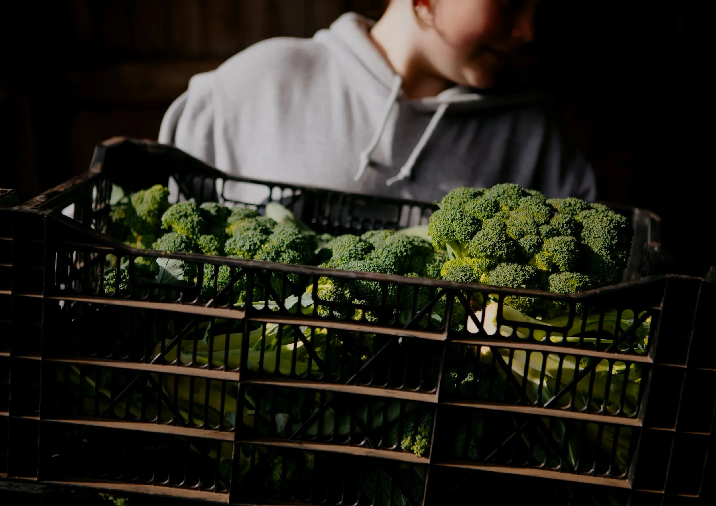 A weekly box of the freshest local food straight from our farm to you  Skip the grocery store! Join our CSA for a full season of vegetables, eggs, bread, and more grown and sourced right here in the Fraser Valley.   Join the CSA 