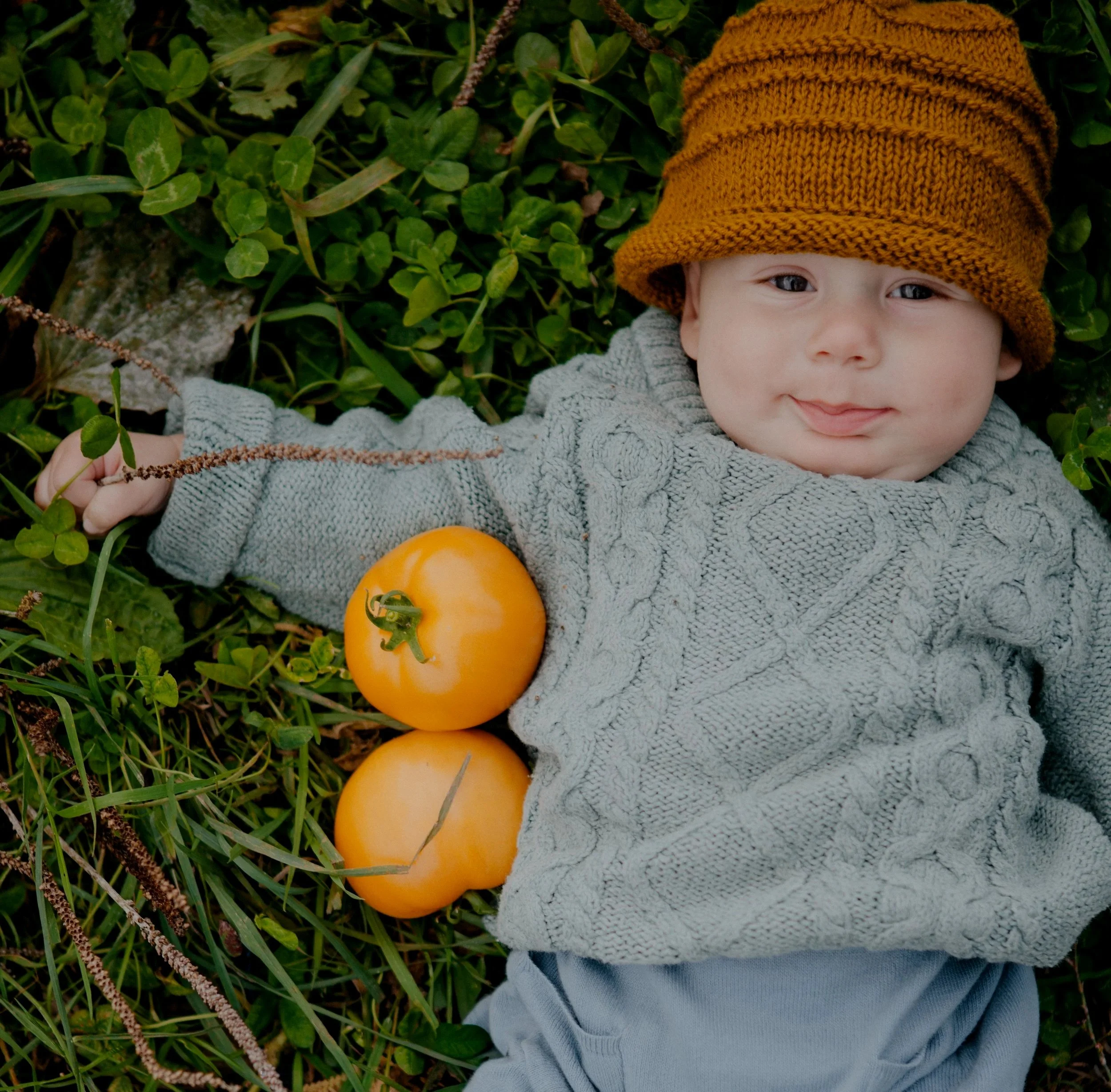 A weekly box of the freshest local food straight from our farm to you  Skip the grocery store! Join our CSA for a full season of vegetables, eggs, bread, and more grown and sourced right here in the Fraser Valley.   Join the CSA 
