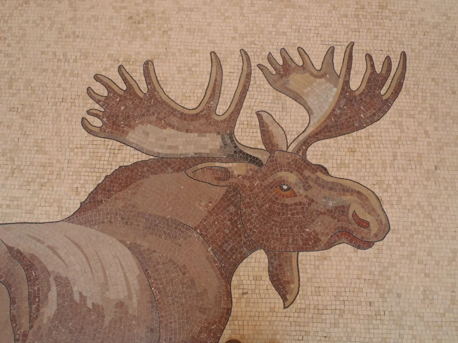 VMMB Mosaic Moose Close up.jpg