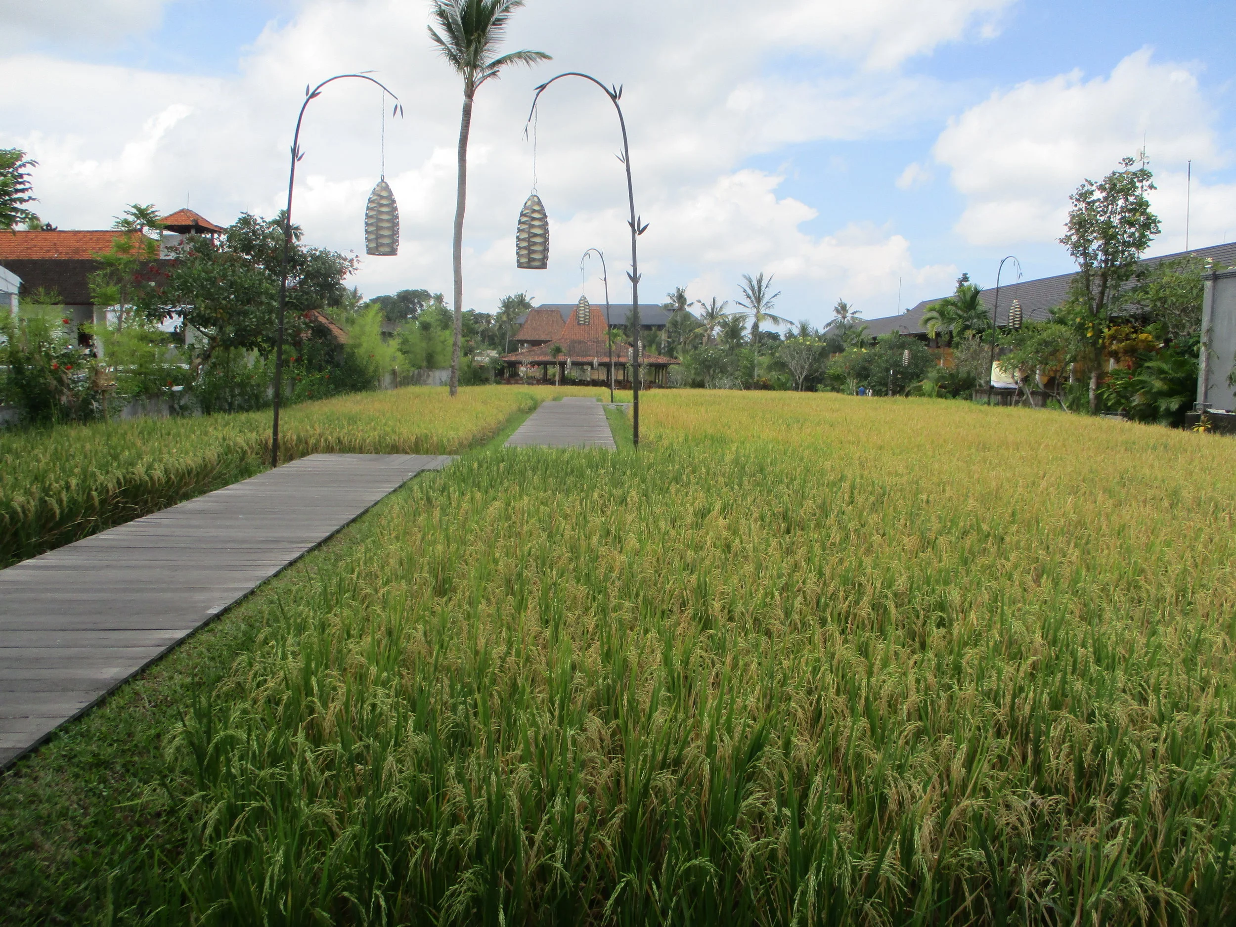 How to face your fears... and other things to do in Ubud, Bali